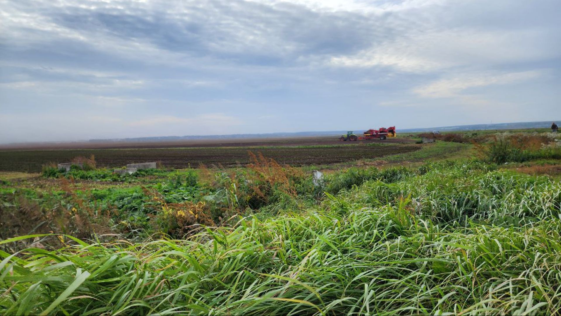 Дмитров, Мосагрофуд, Минсельхоз,
