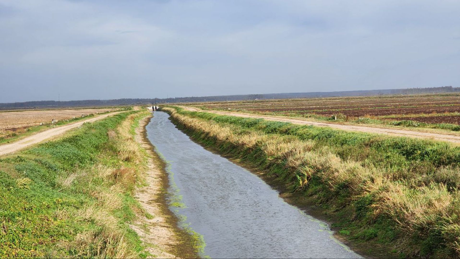 Дмитров, Мосагрофуд, Минсельхоз,