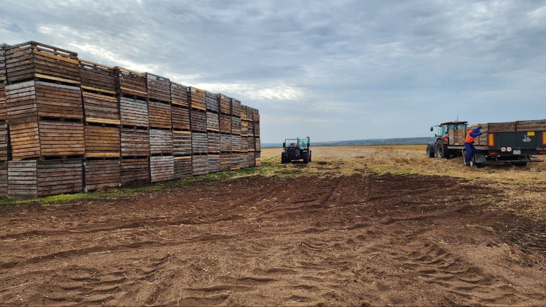 Дмитров, Мосагрофуд, Минсельхоз,