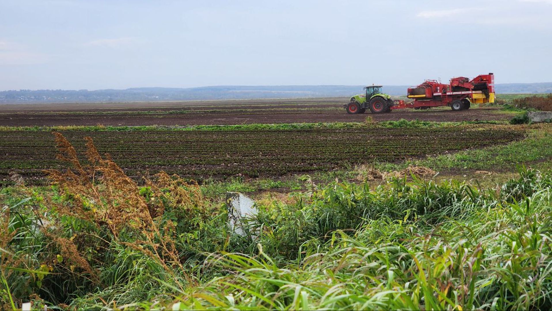 Дмитров, Мосагрофуд, Минсельхоз,