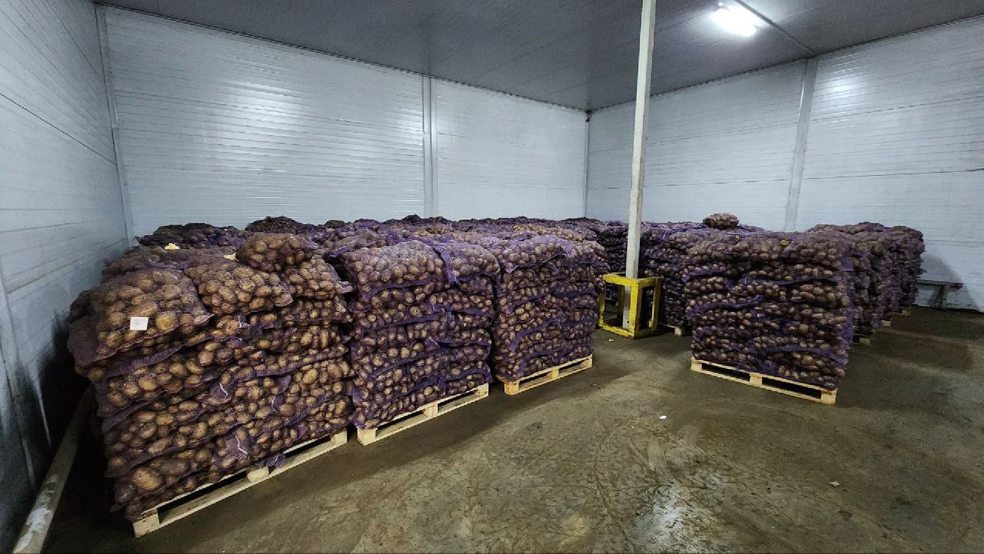 Дмитров, Мосагрофуд, Минсельхоз,