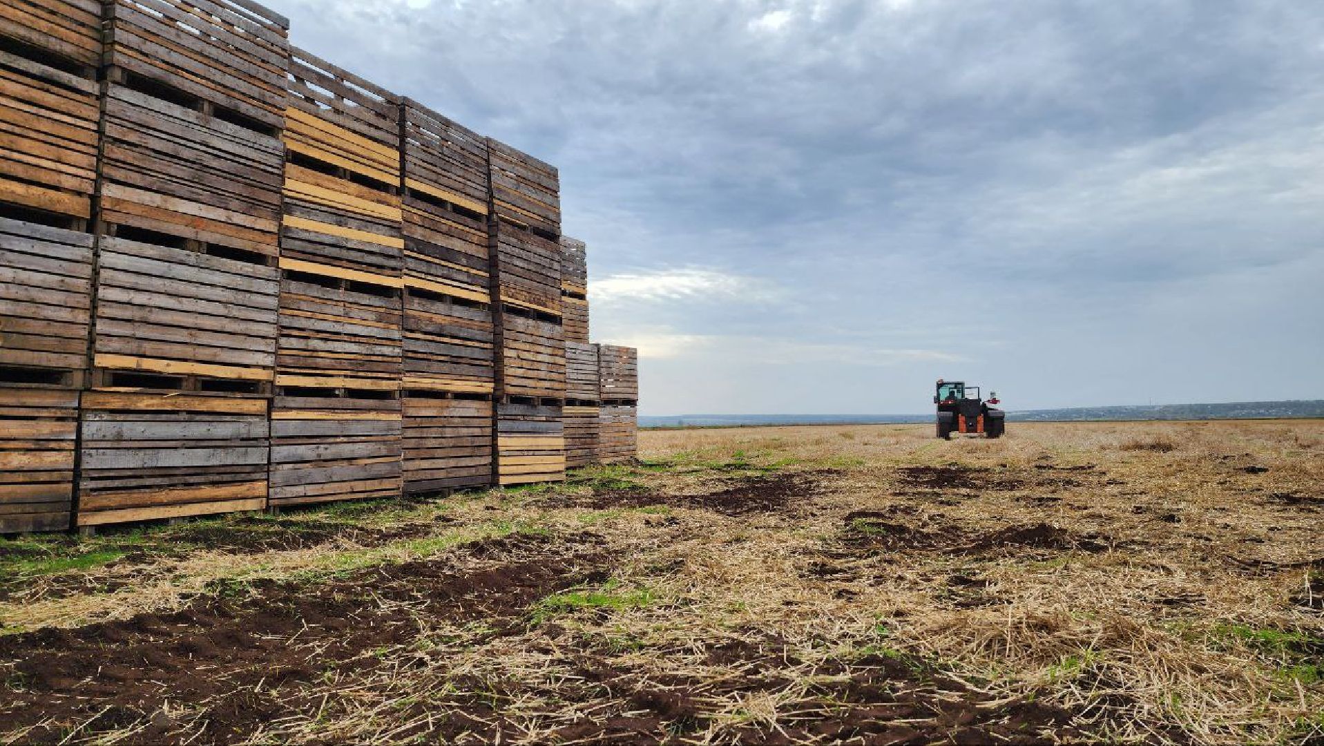 Дмитров, Мосагрофуд, Минсельхоз,
