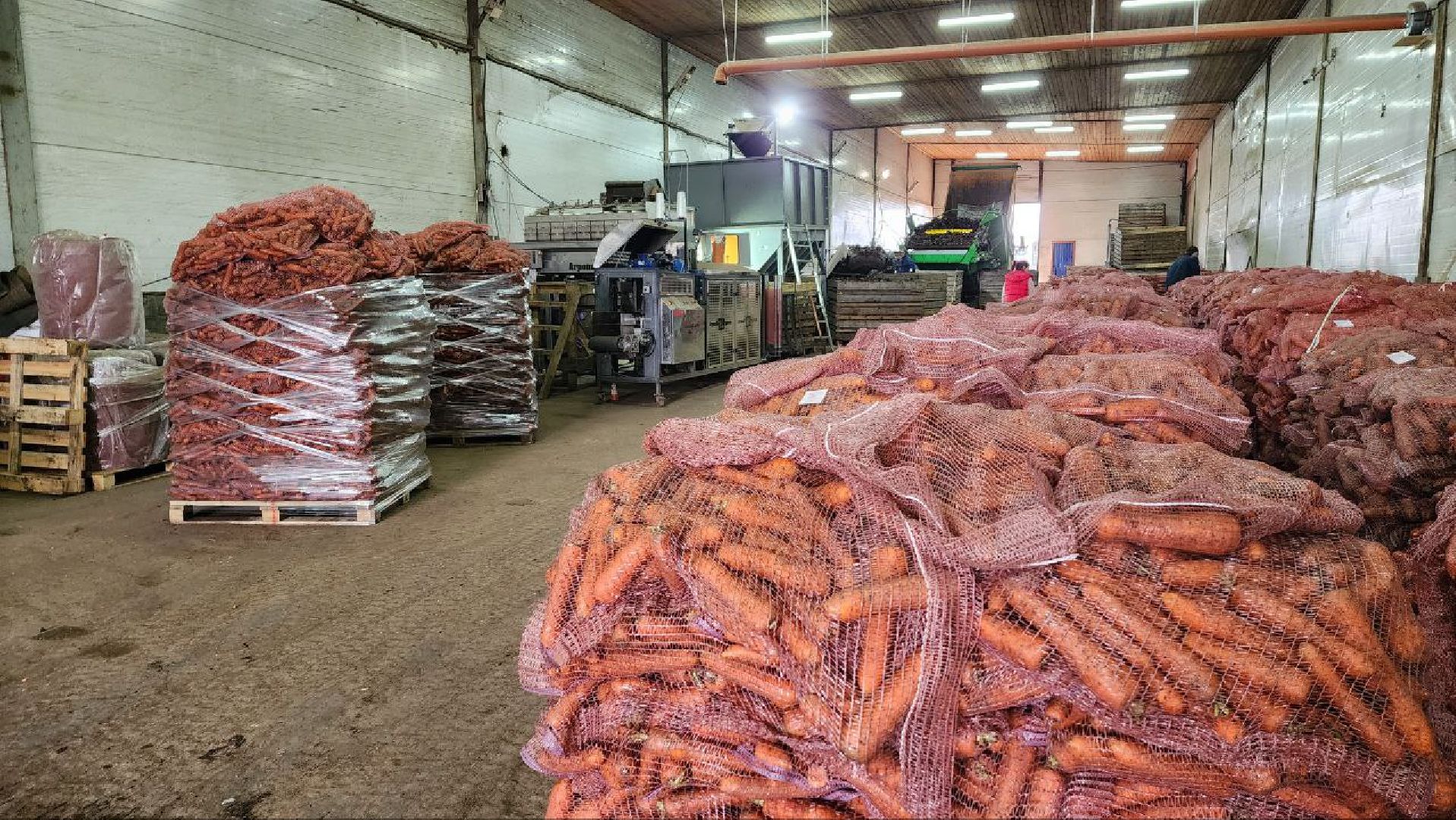 Дмитров, Мосагрофуд, Минсельхоз,