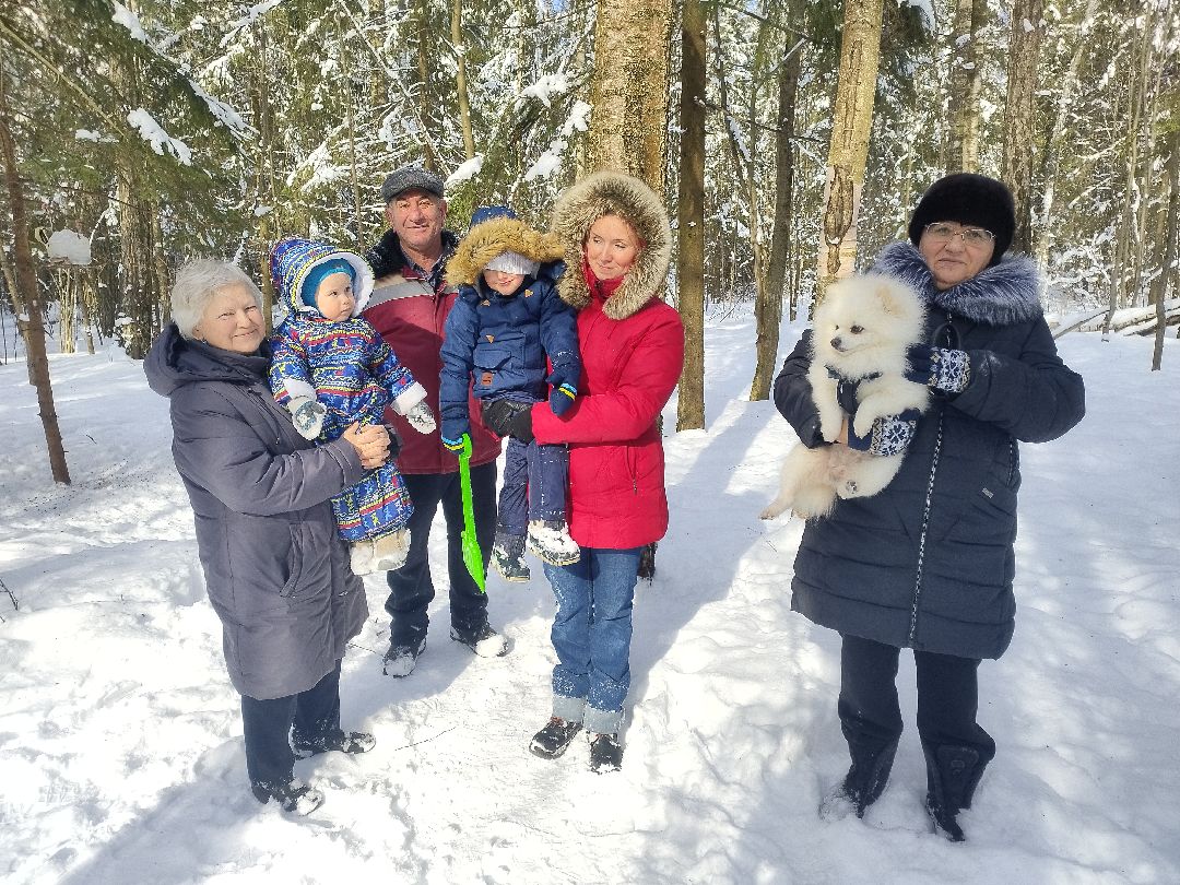 Истра, экология, волонтеры, кормушки, активные жители