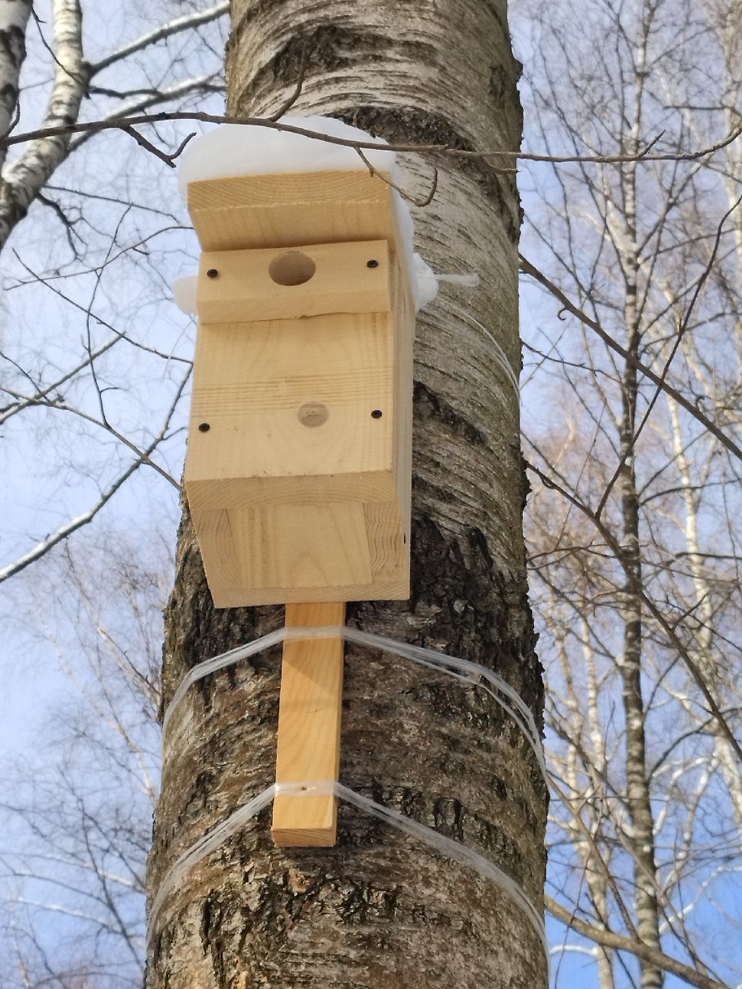 Истра, экология, волонтеры, кормушки, активные жители