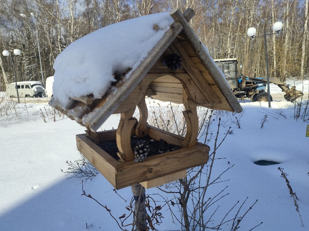 Истра, экология, волонтеры, кормушки, активные жители