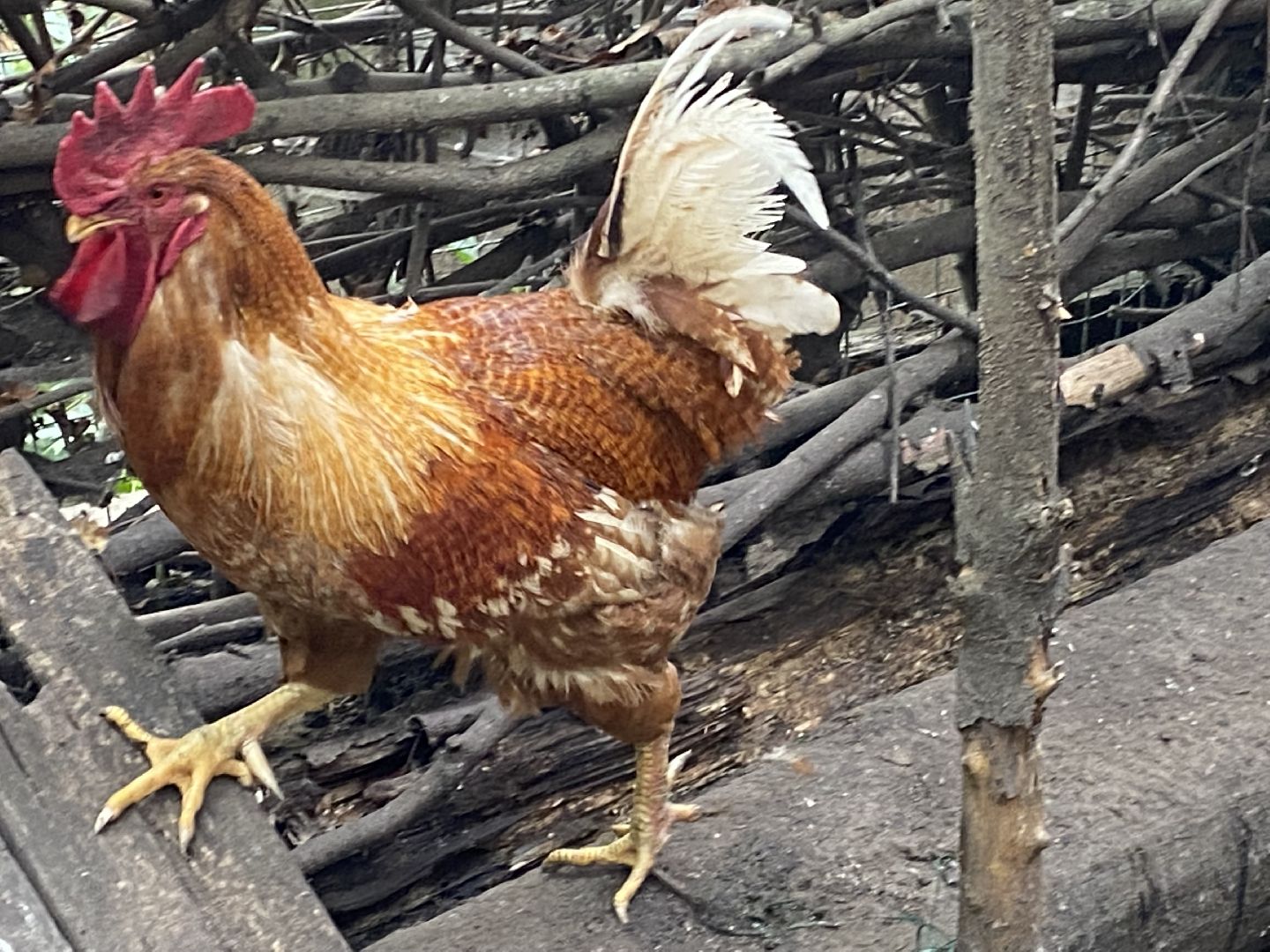 Балашиха, микрорайон салтыковка, активное долголетие,