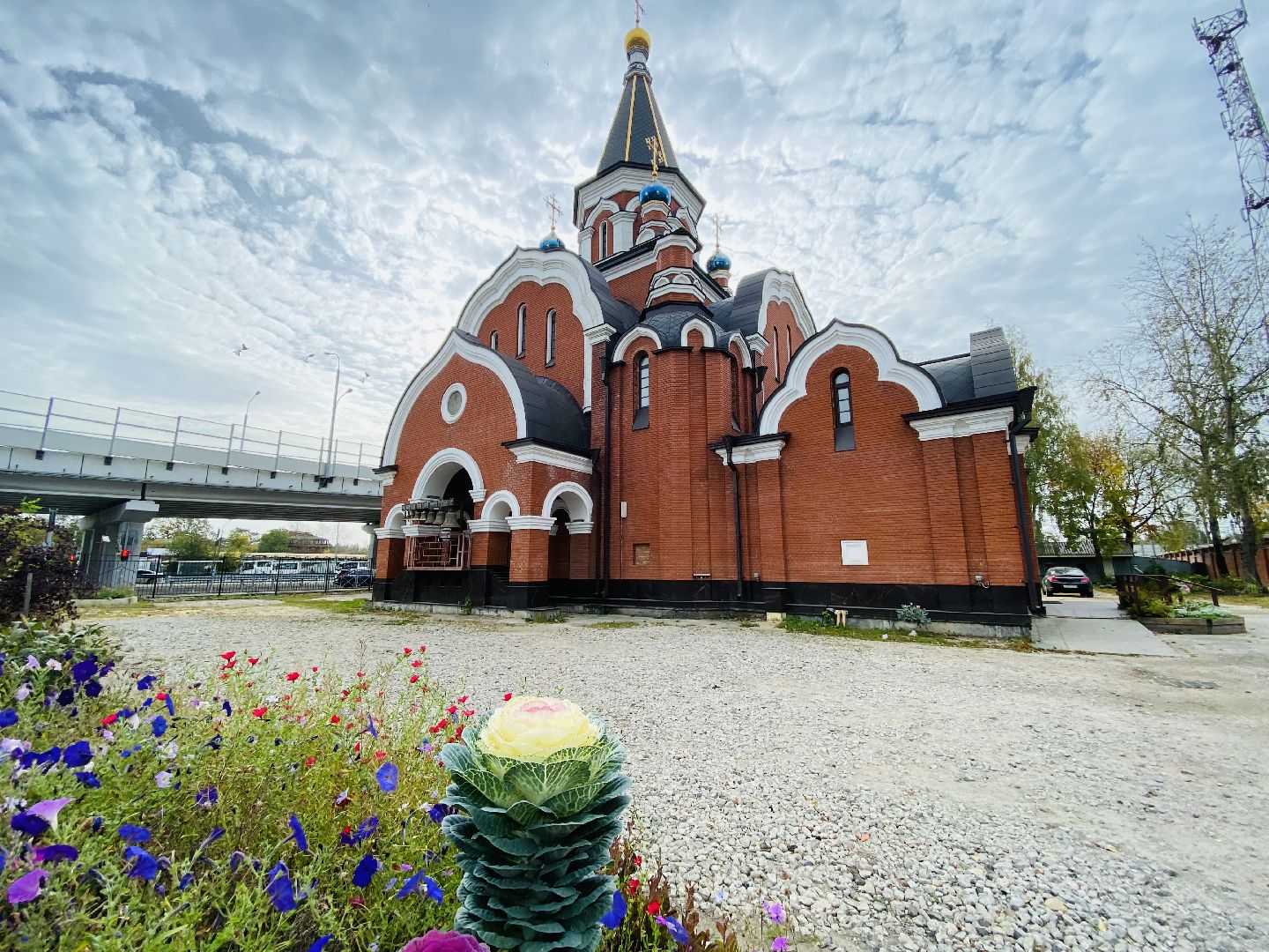 Балашиха, микрорайон салтыковка, активное долголетие,