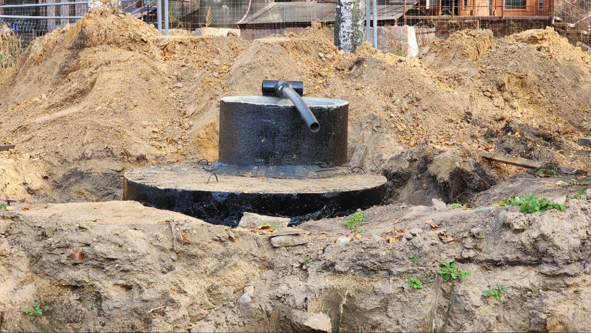 Дмитров, Парк Березовая роща, Минблаго,