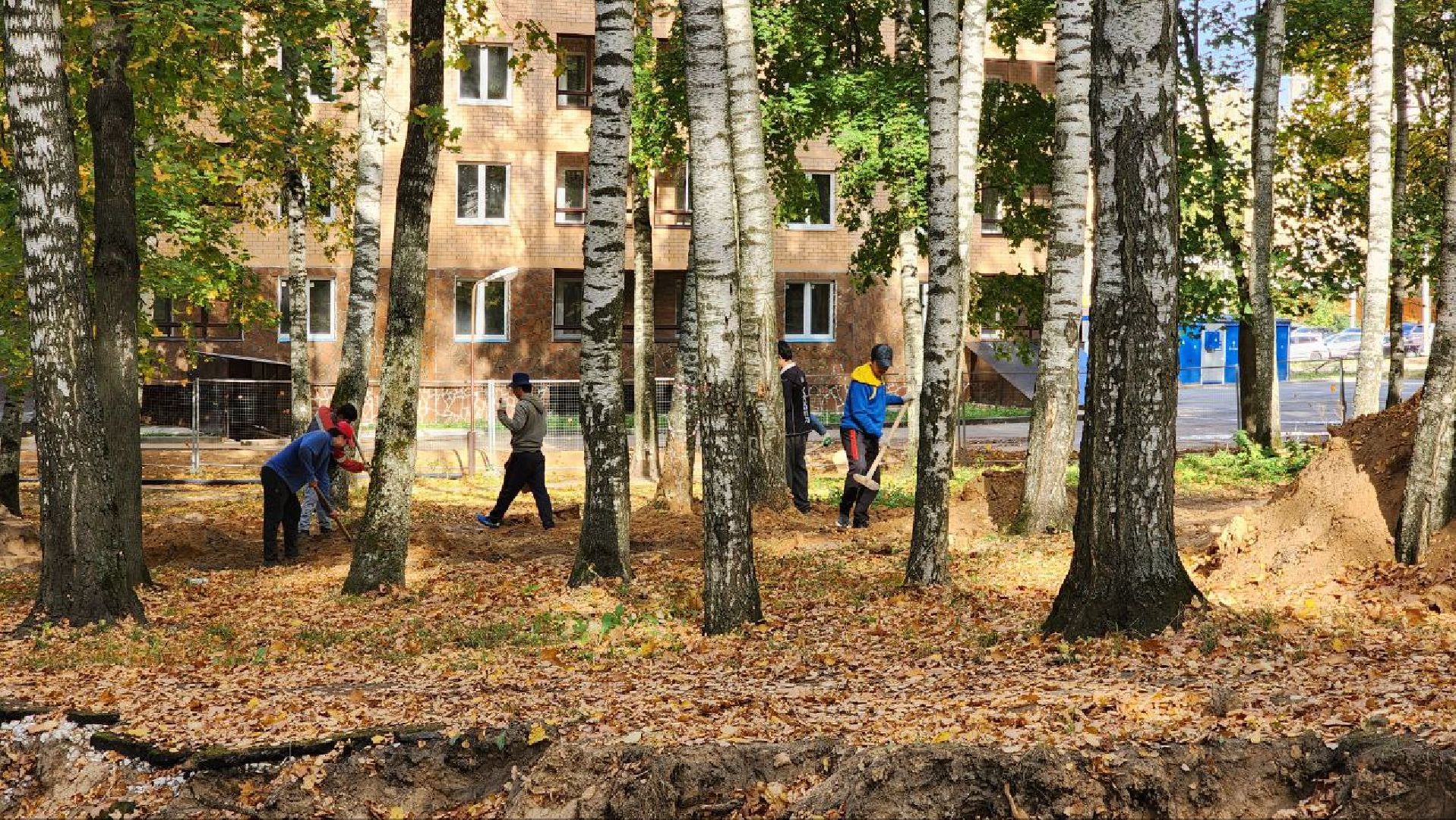 Дмитров, Парк Березовая роща, Минблаго,