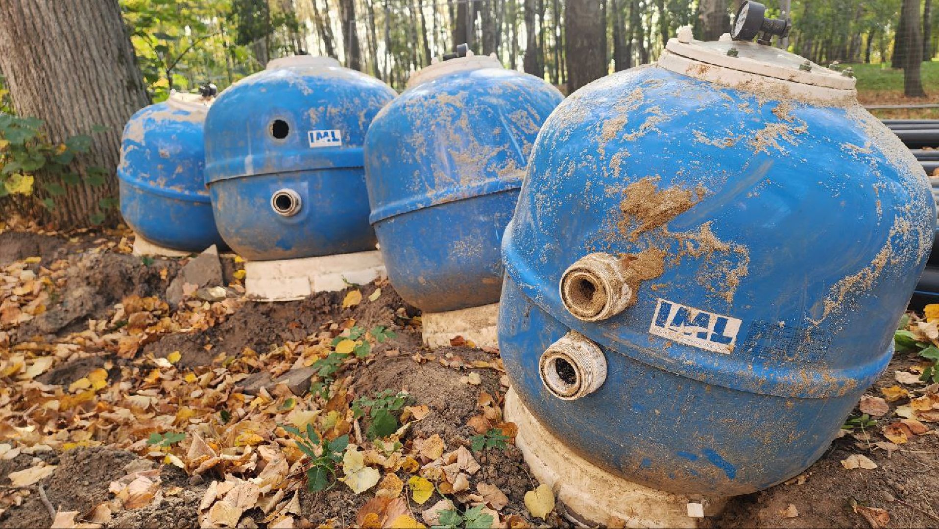 Дмитров, Парк Березовая роща, Минблаго,