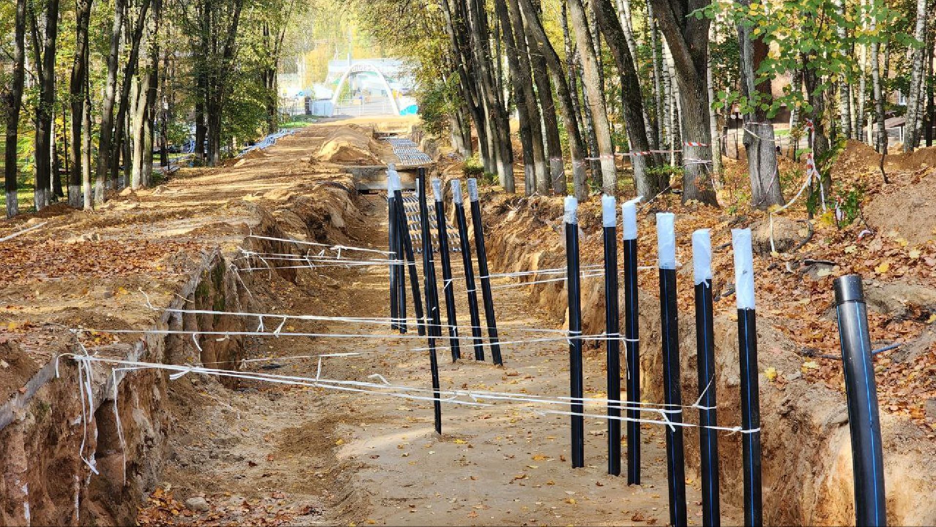 Дмитров, Парк Березовая роща, Минблаго,