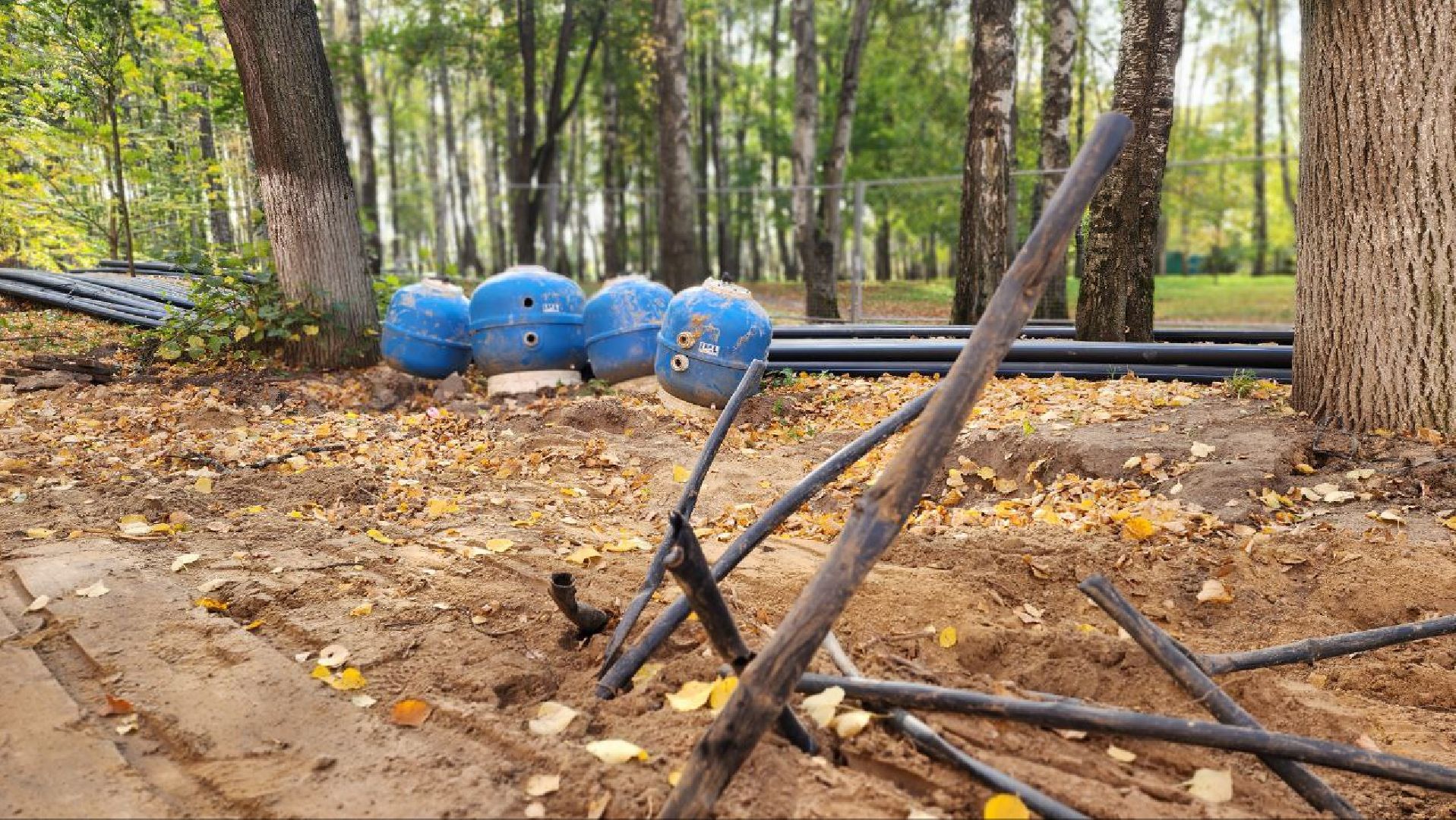 Дмитров, Парк Березовая роща, Минблаго,