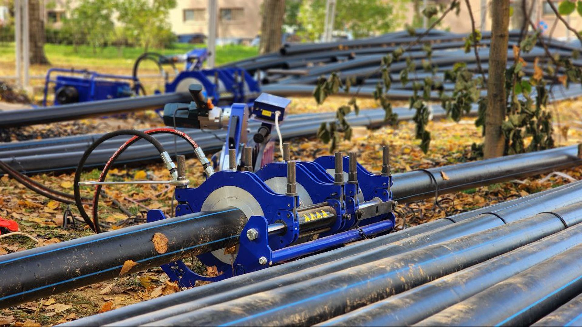 Дмитров, Парк Березовая роща, Минблаго,