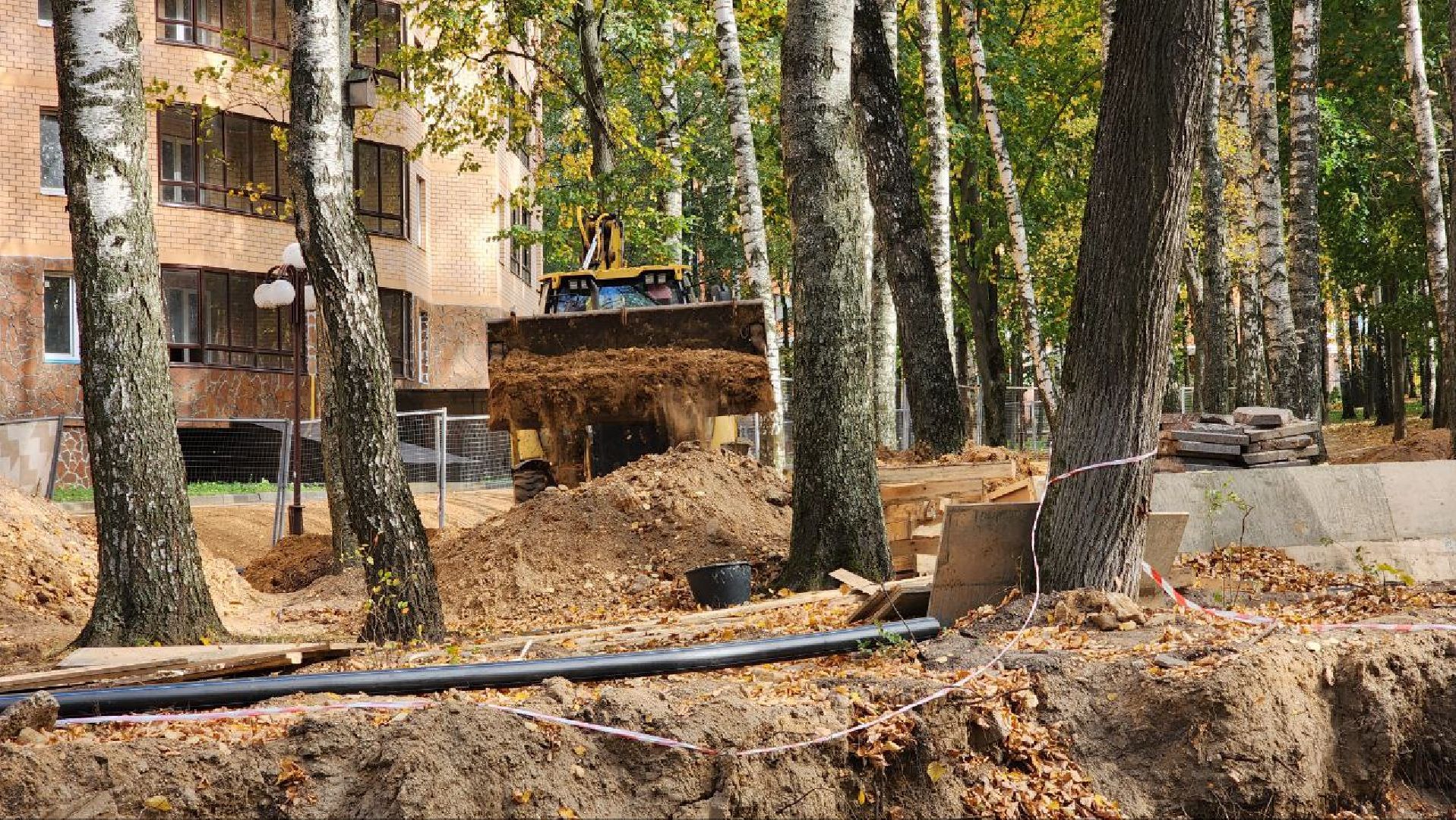 Дмитров, Парк Березовая роща, Минблаго,