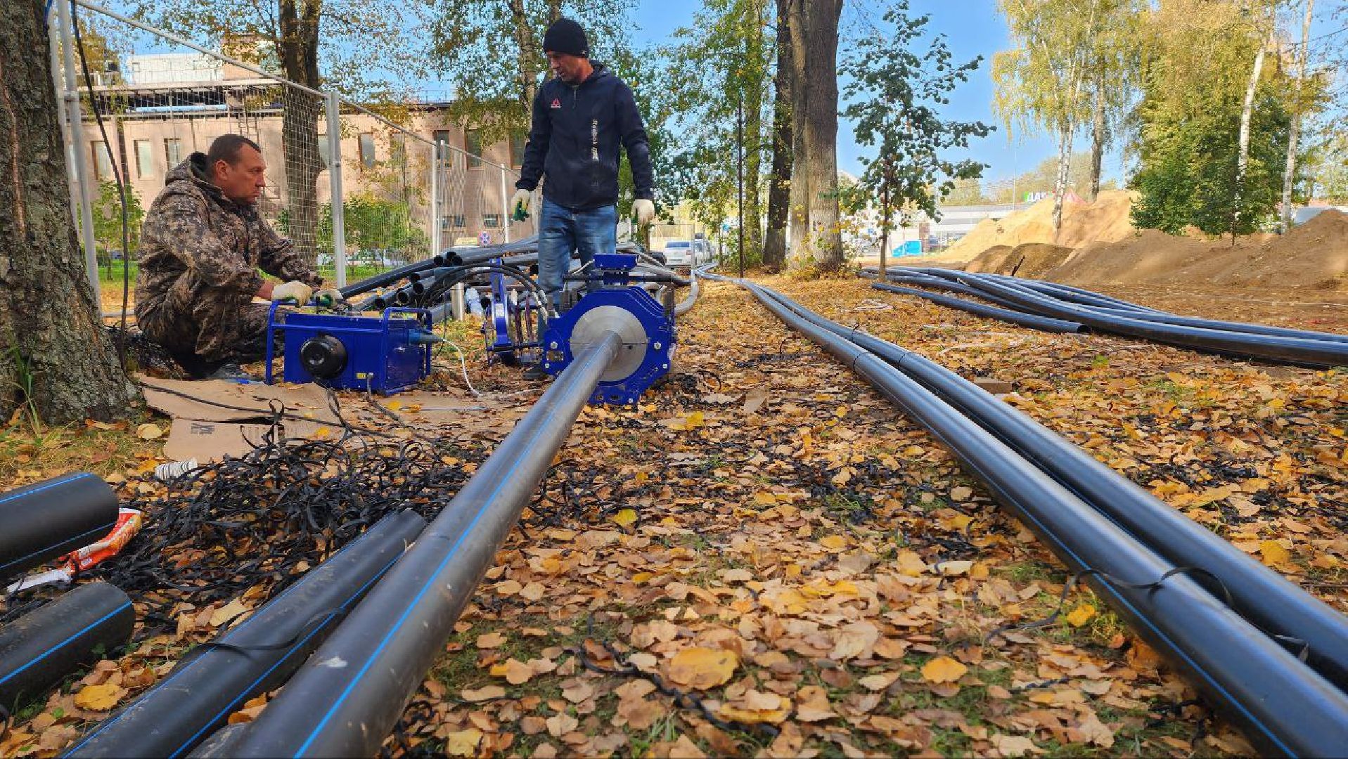 Дмитров, Парк Березовая роща, Минблаго,