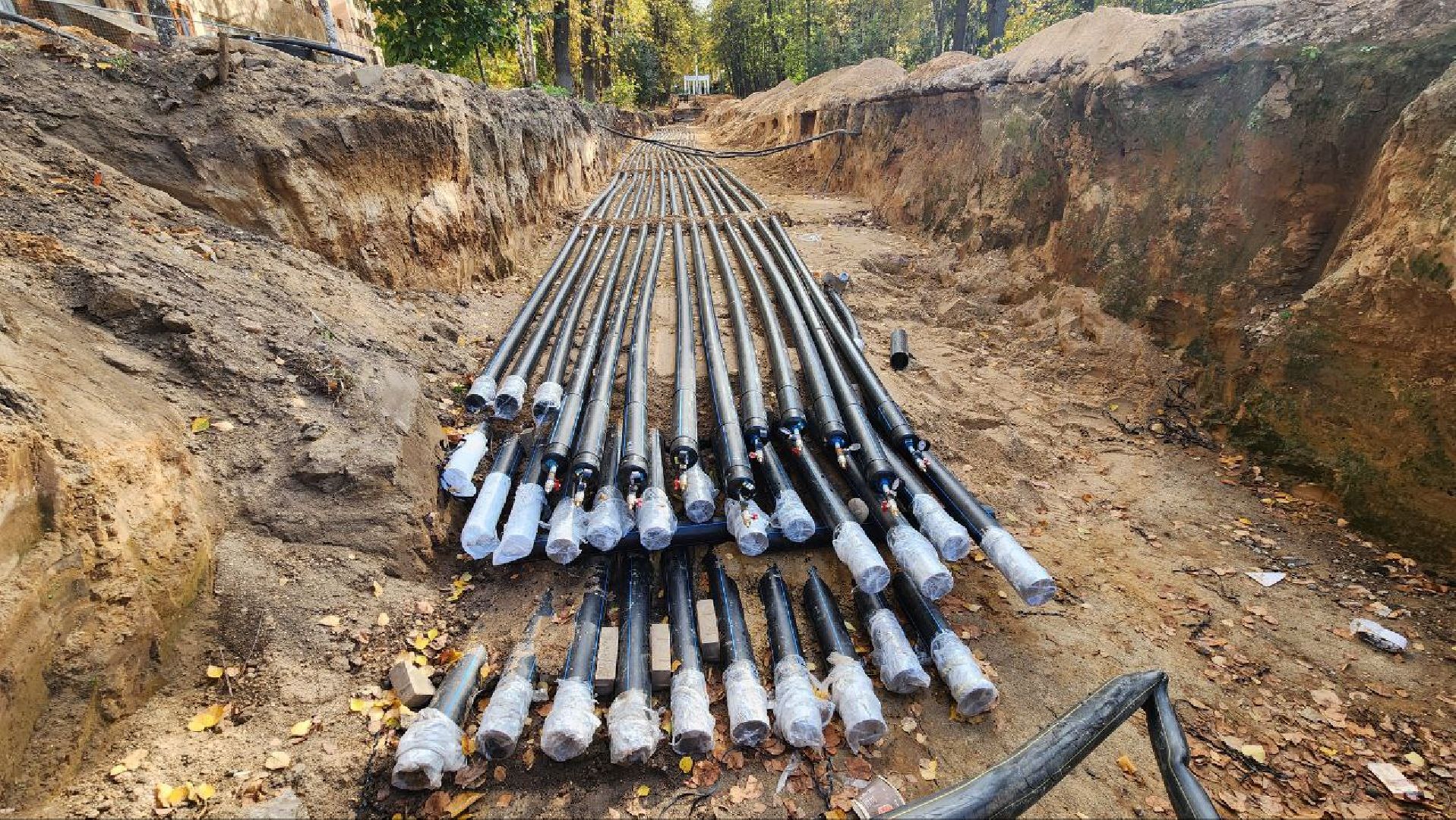 Дмитров, Парк Березовая роща, Минблаго,