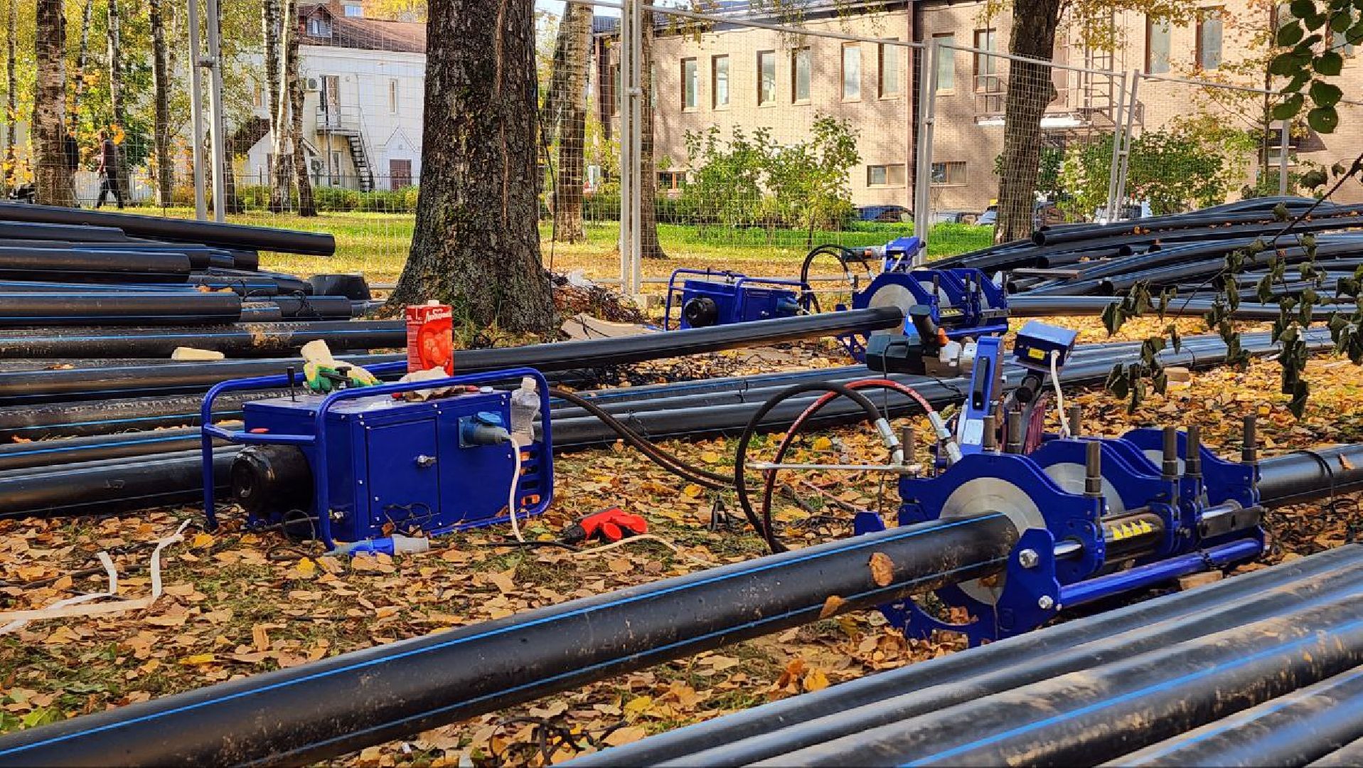 Дмитров, Парк Березовая роща, Минблаго,