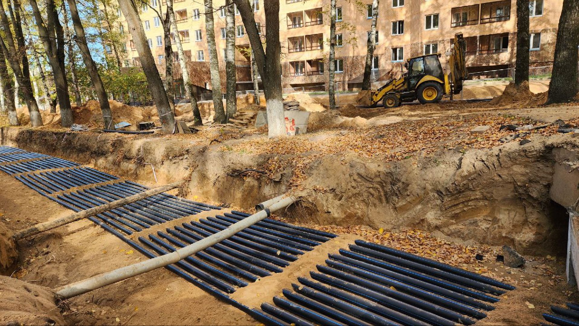 Дмитров, Парк Березовая роща, Минблаго,