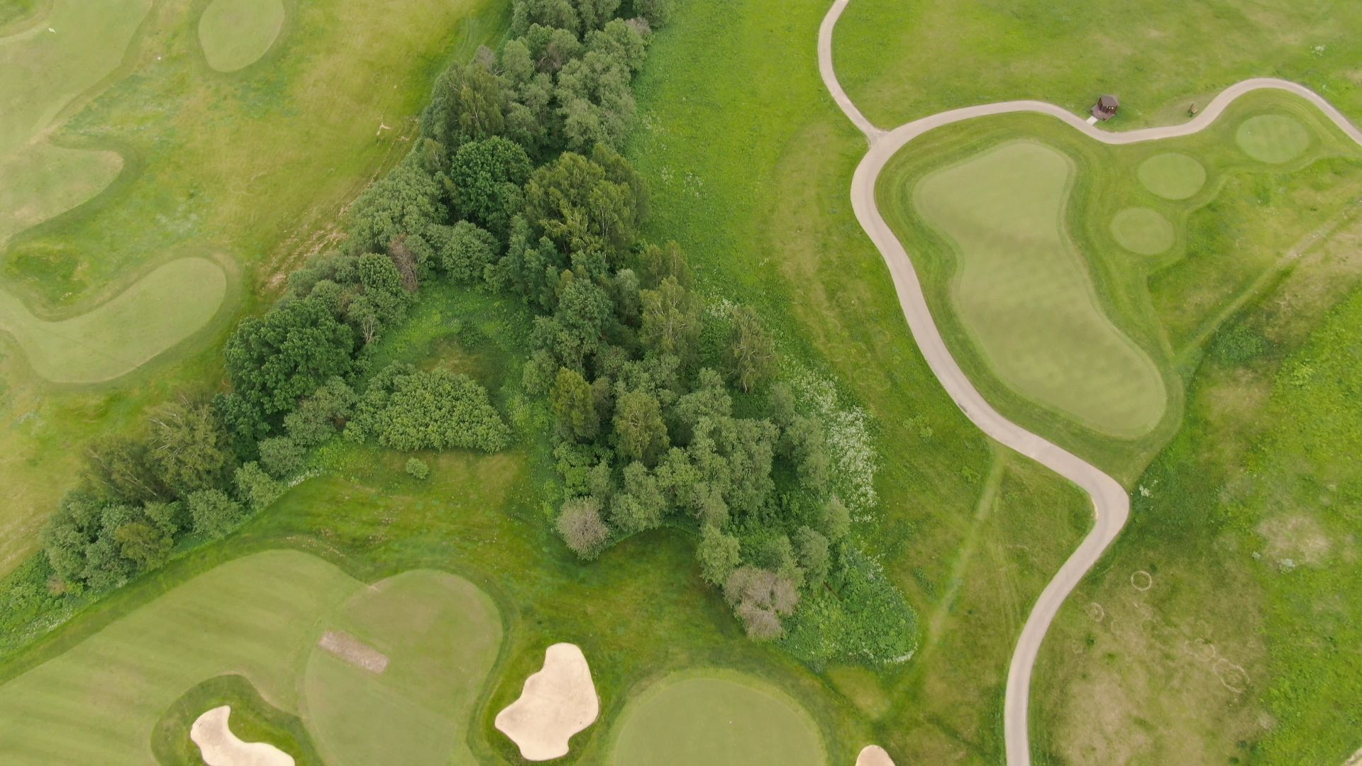 дмитров, гольф, поля,видео с коптера,