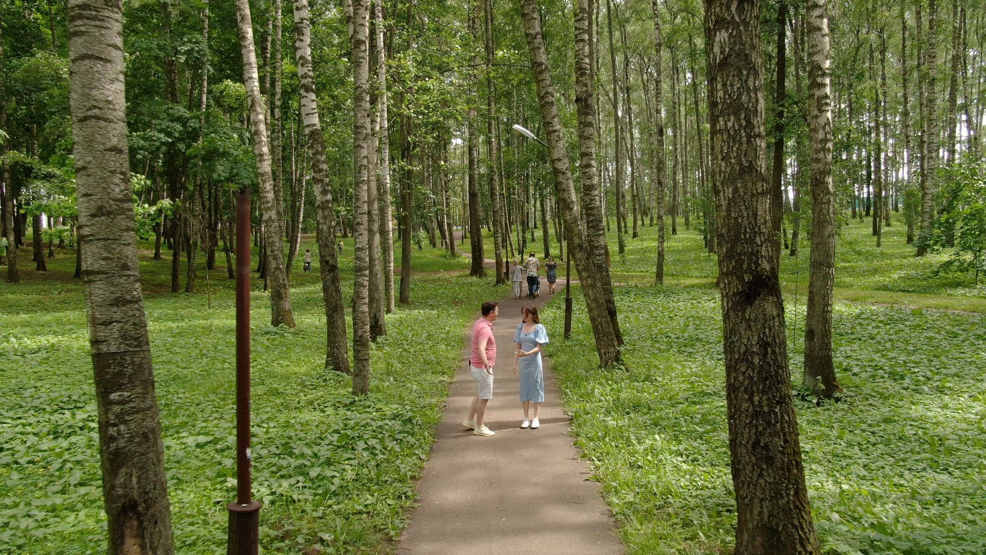 дмитров, гольф, поля,видео с коптера,