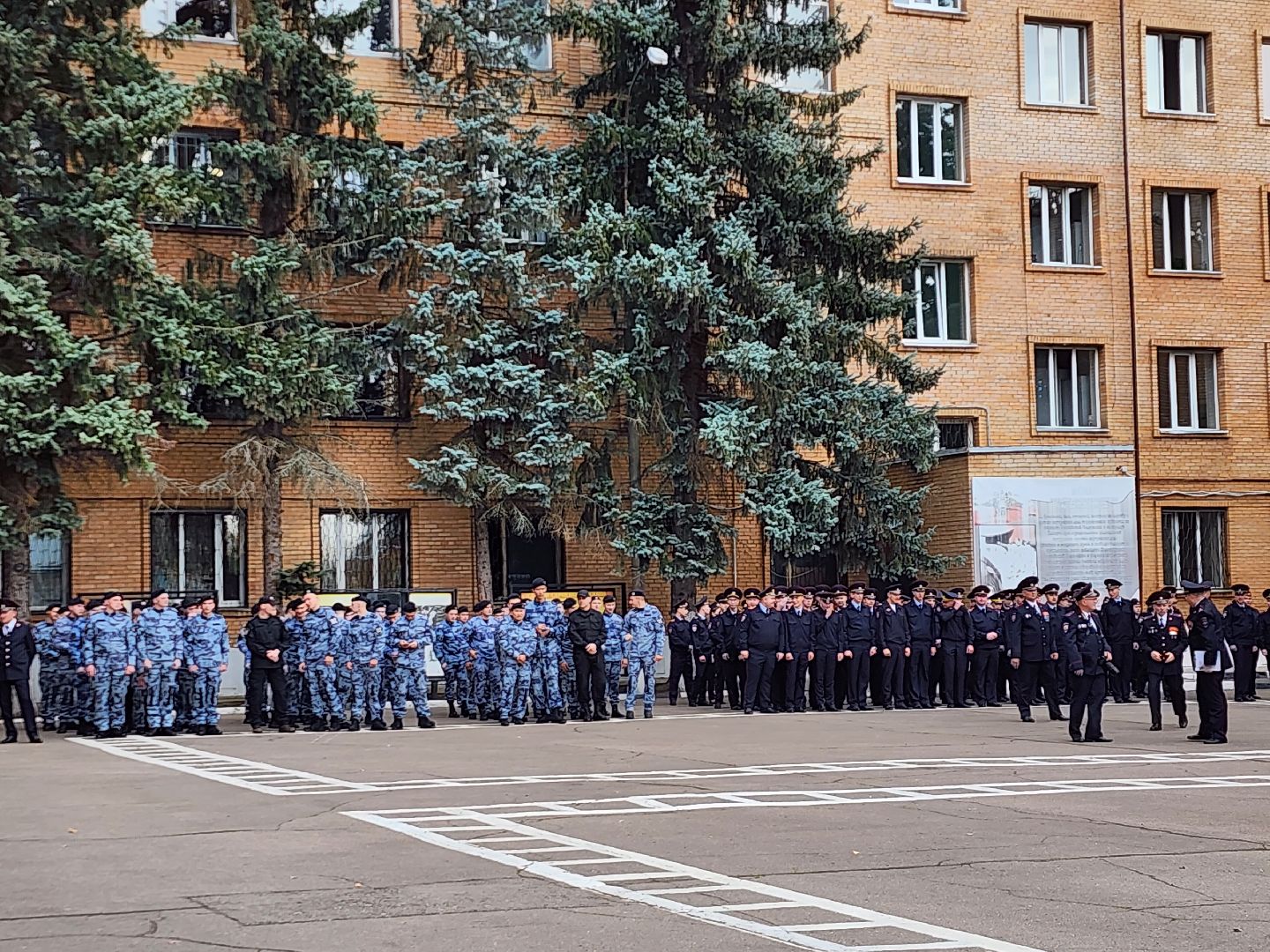 мвд, видное, подготовка, кадры, полиция,