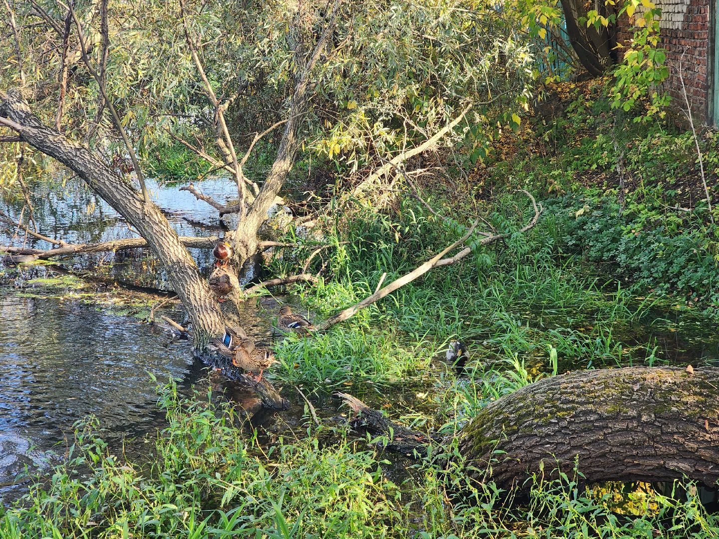 храм, легенда, пушкино, религия,