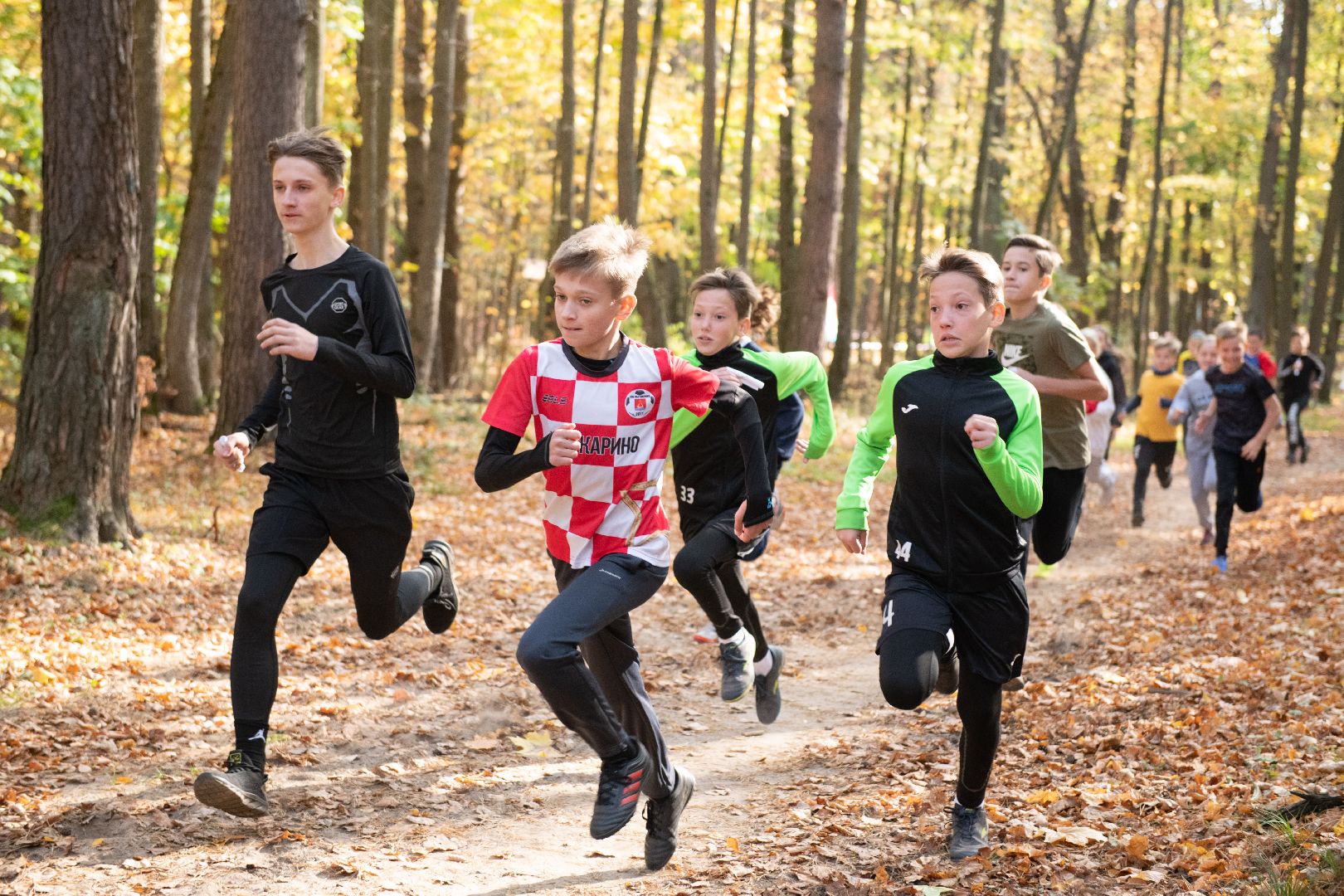 лыткарино, кросс, золотая осень, школьники, легкая атлетика,
