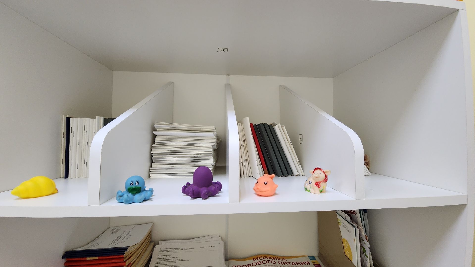 Солнечногорск, медицина, ФАП, Лесное озеро, кадры,