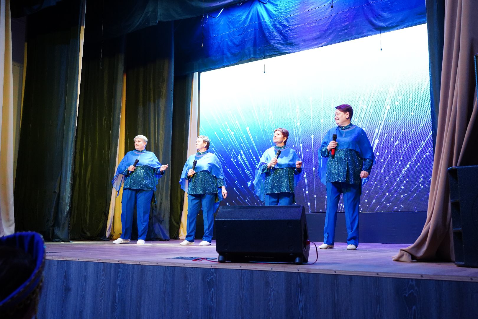 Рошаль, Большая Шатура, день пожилых, активное долголетие, ДК Косякова,