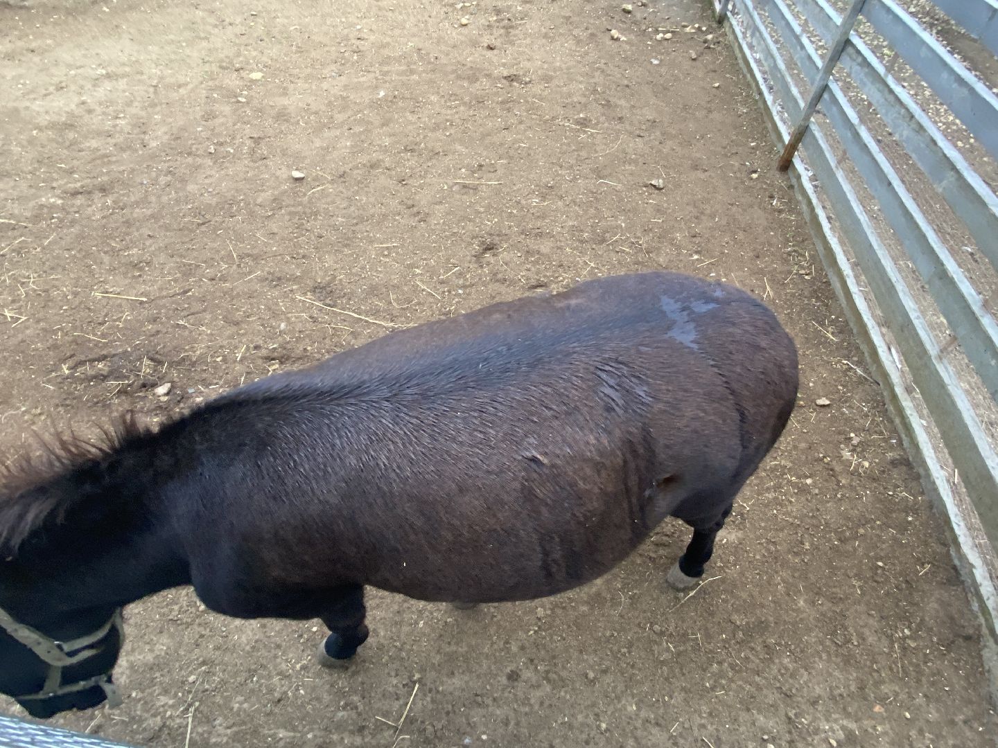 туризм, промышленный туризм, сыроварня,