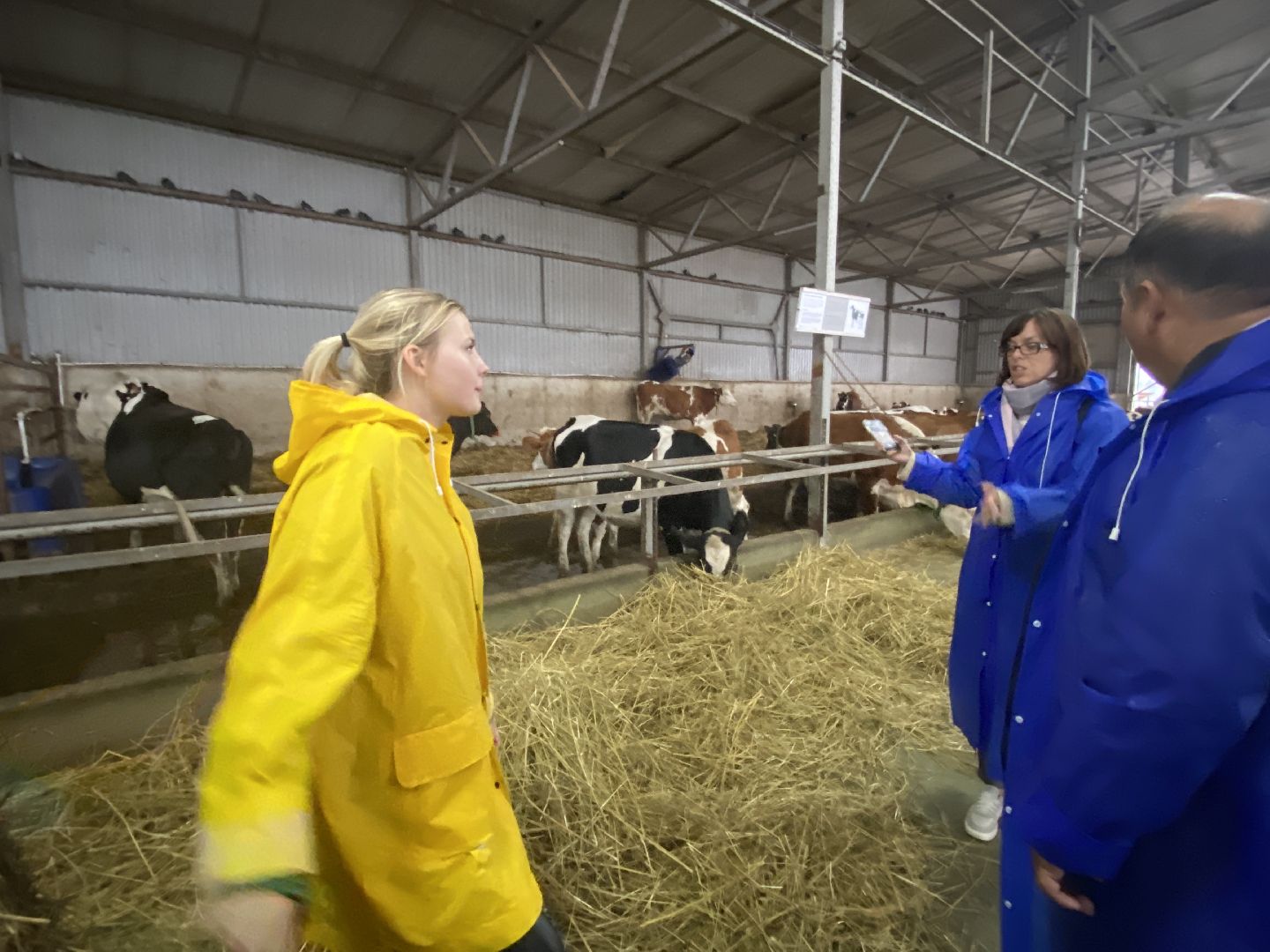 туризм, промышленный туризм, сыроварня,