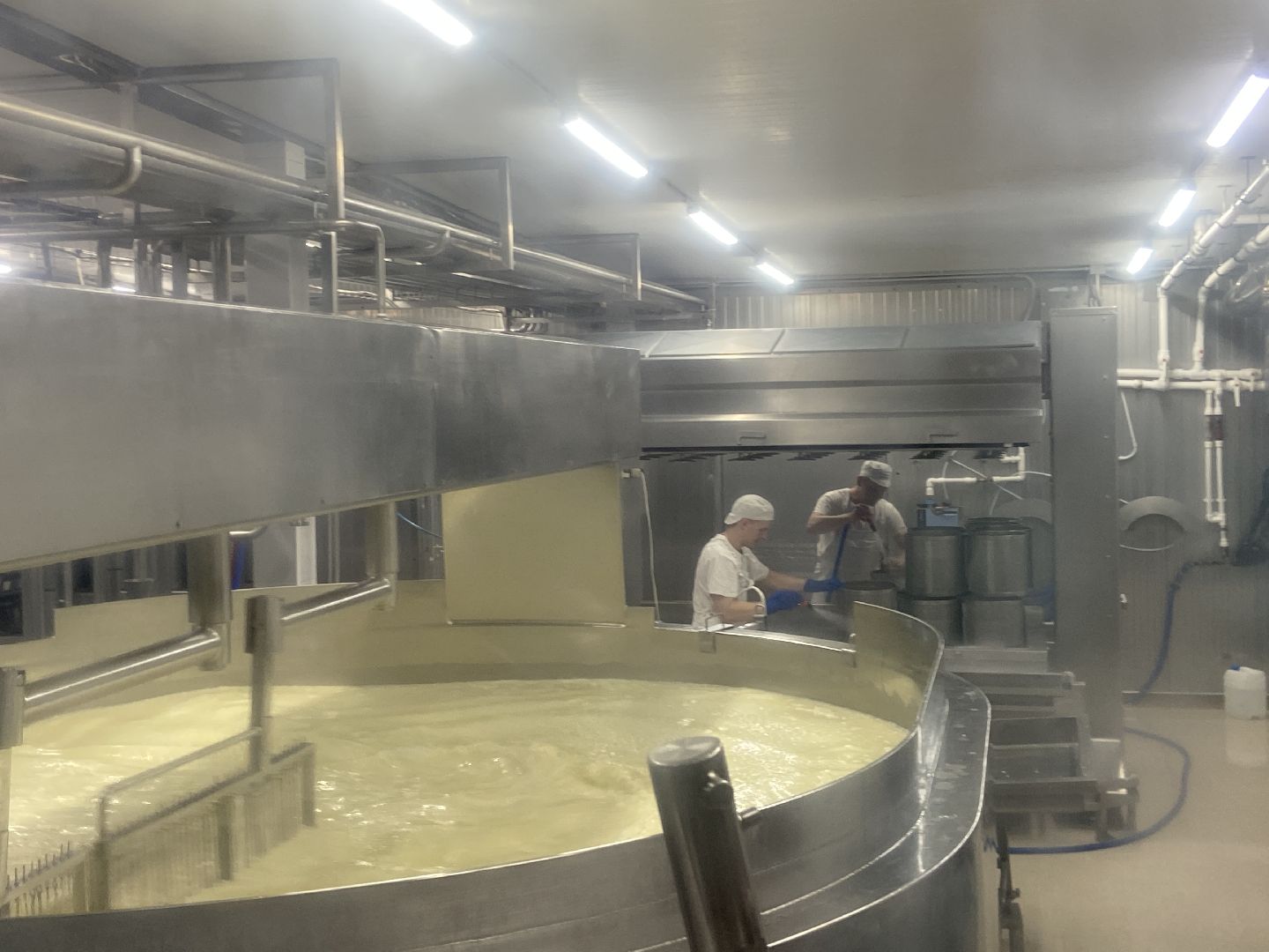 туризм, промышленный туризм, сыроварня,