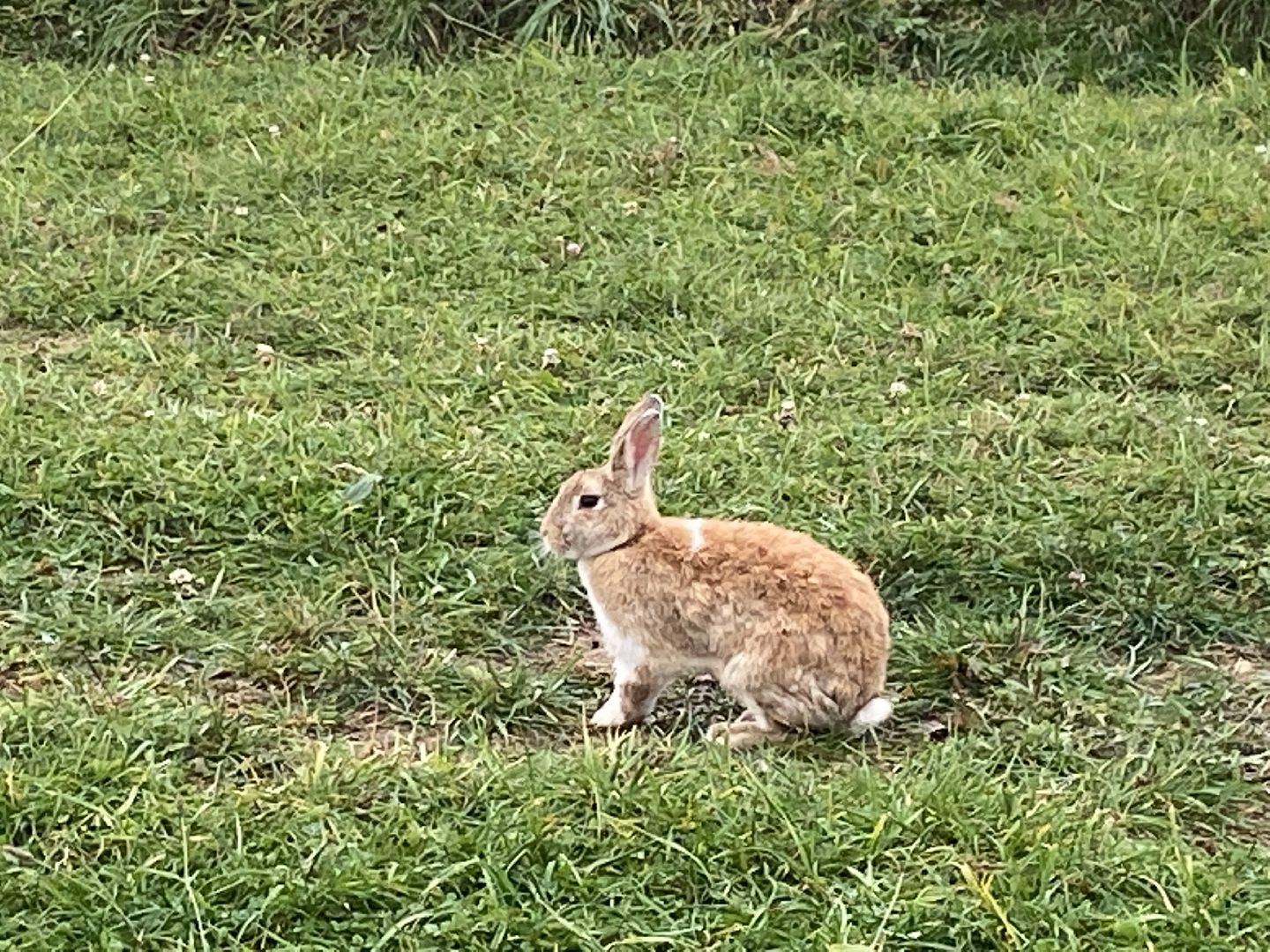 туризм, промышленный туризм, сыроварня,