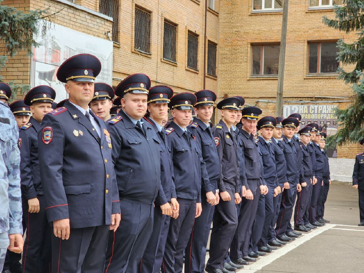 актеры,кино, видное, поздравление, мвд,