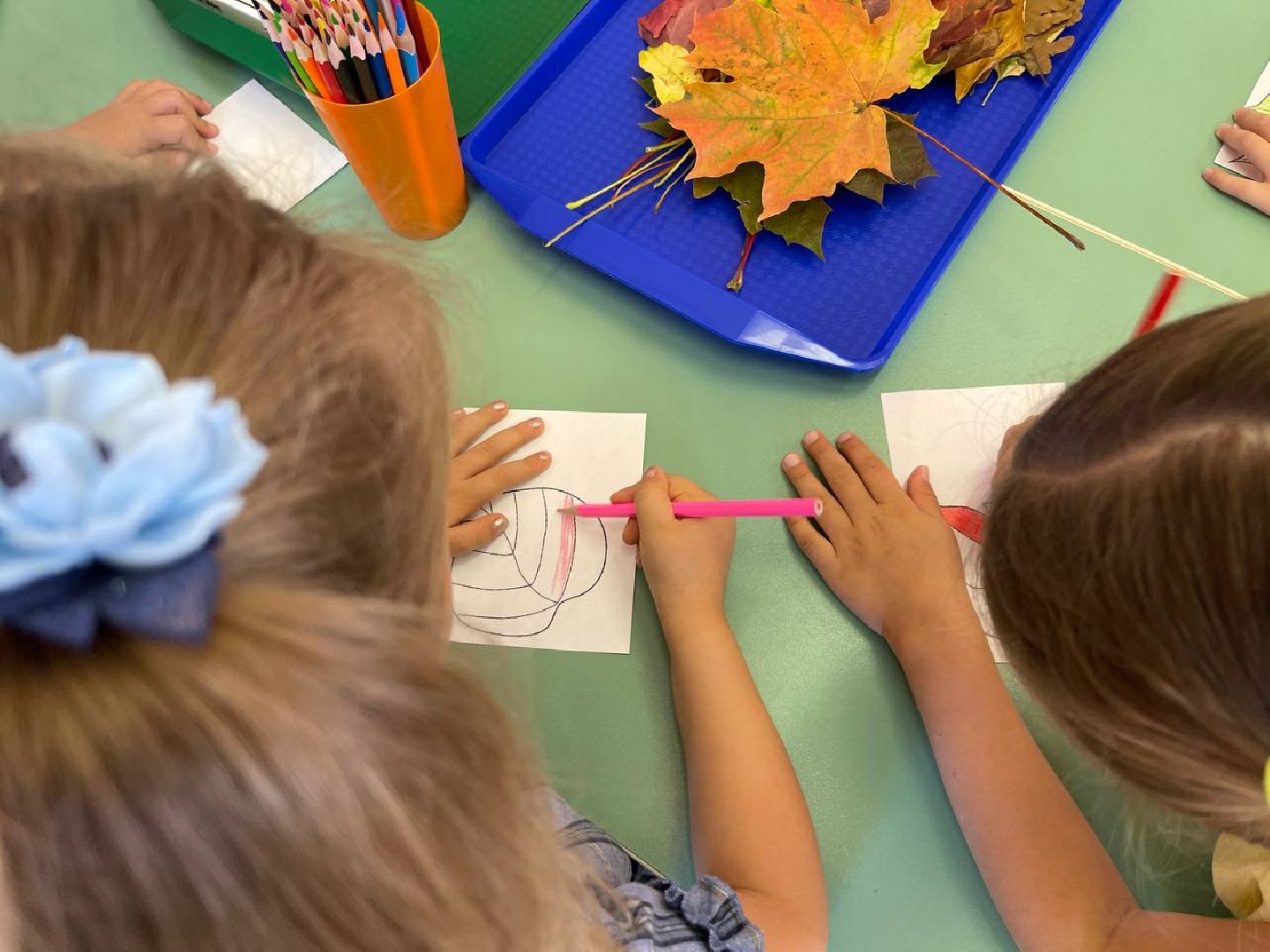 Подольск, образование подмосковья, предшкола, первый класс,