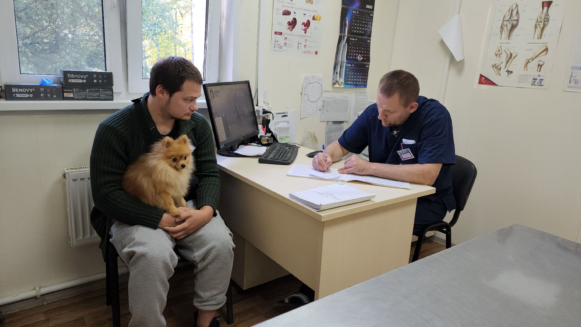 Одинцово, ветеринария, безнадзорные животные, Собаки, Кошки, Крысы, Белки, Бешенство, Столбняк,