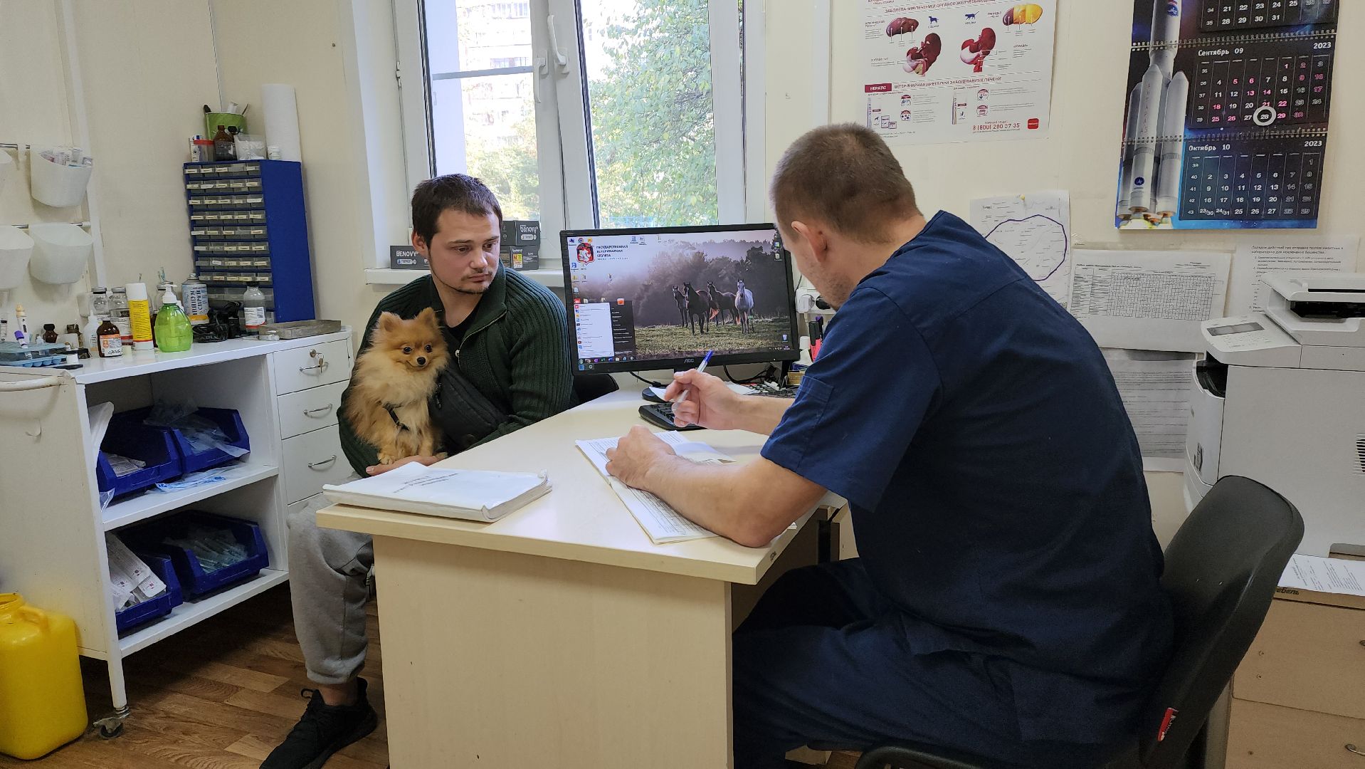 Одинцово, ветеринария, безнадзорные животные, Собаки, Кошки, Крысы, Белки, Бешенство, Столбняк,