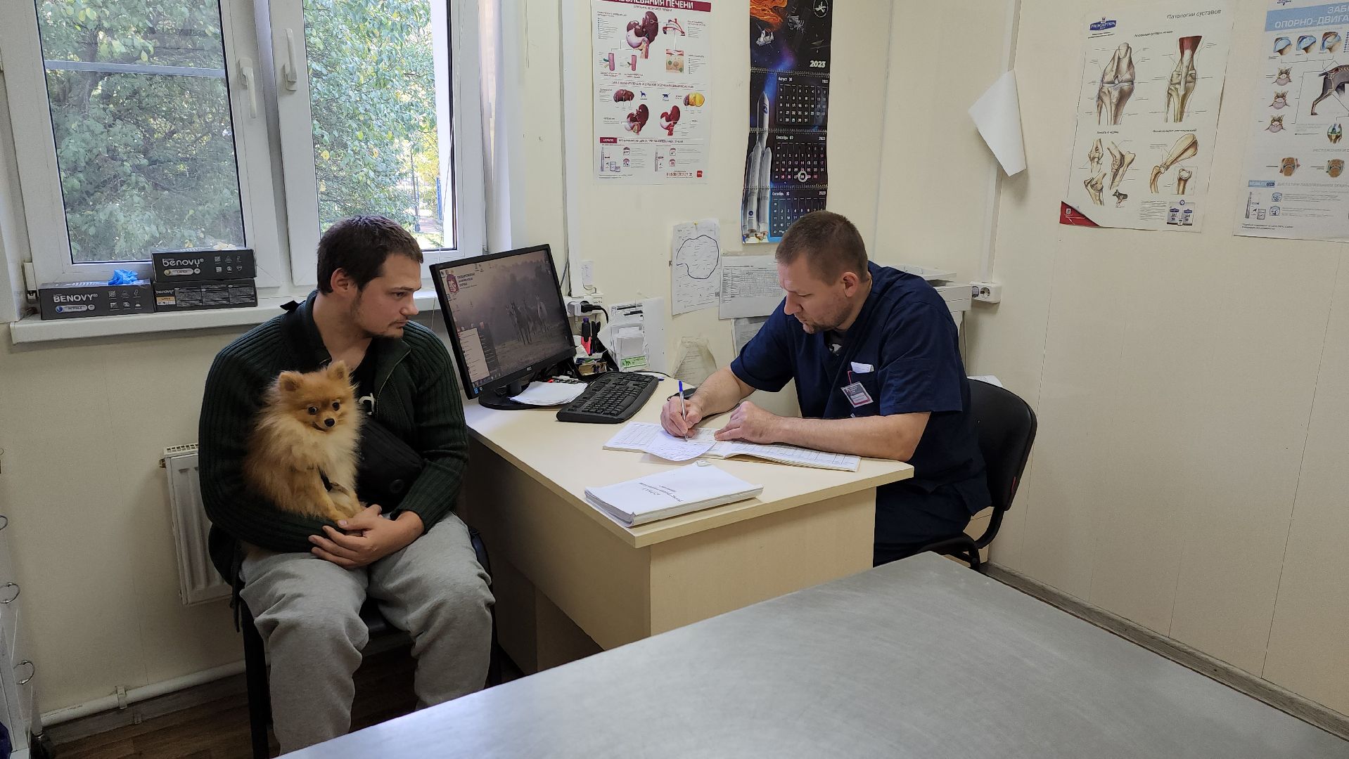 Одинцово, ветеринария, безнадзорные животные, Собаки, Кошки, Крысы, Белки, Бешенство, Столбняк,