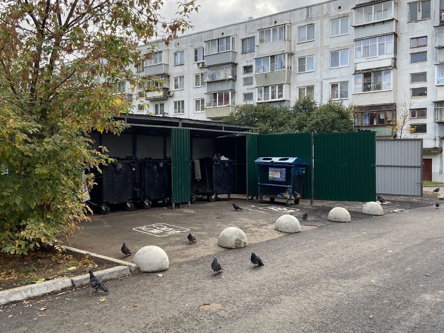 мусор, контейнерная площадка,