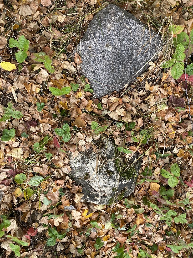 волоколамск, краеведение, краеведы, история, история россии, деревня, кладбище, жители, легенды, миф,