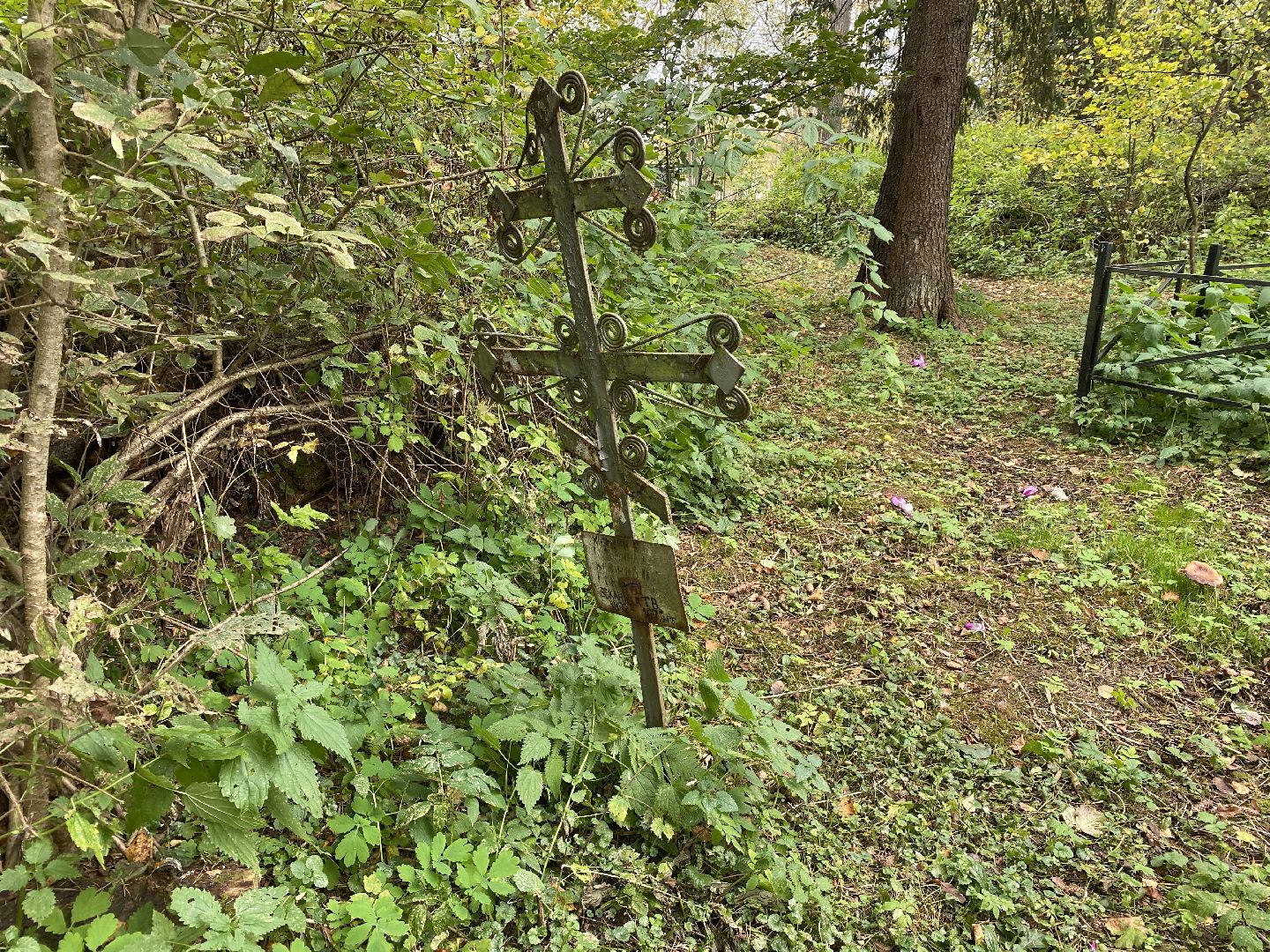 волоколамск, краеведение, краеведы, история, история россии, деревня, кладбище, жители, легенды, миф,