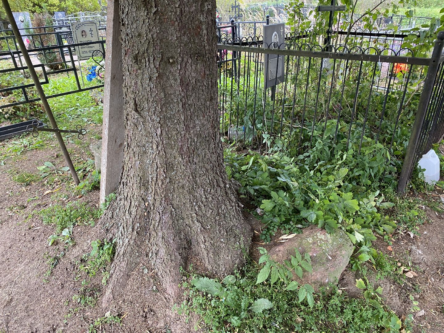 волоколамск, краеведение, краеведы, история, история россии, деревня, кладбище, жители, легенды, миф,