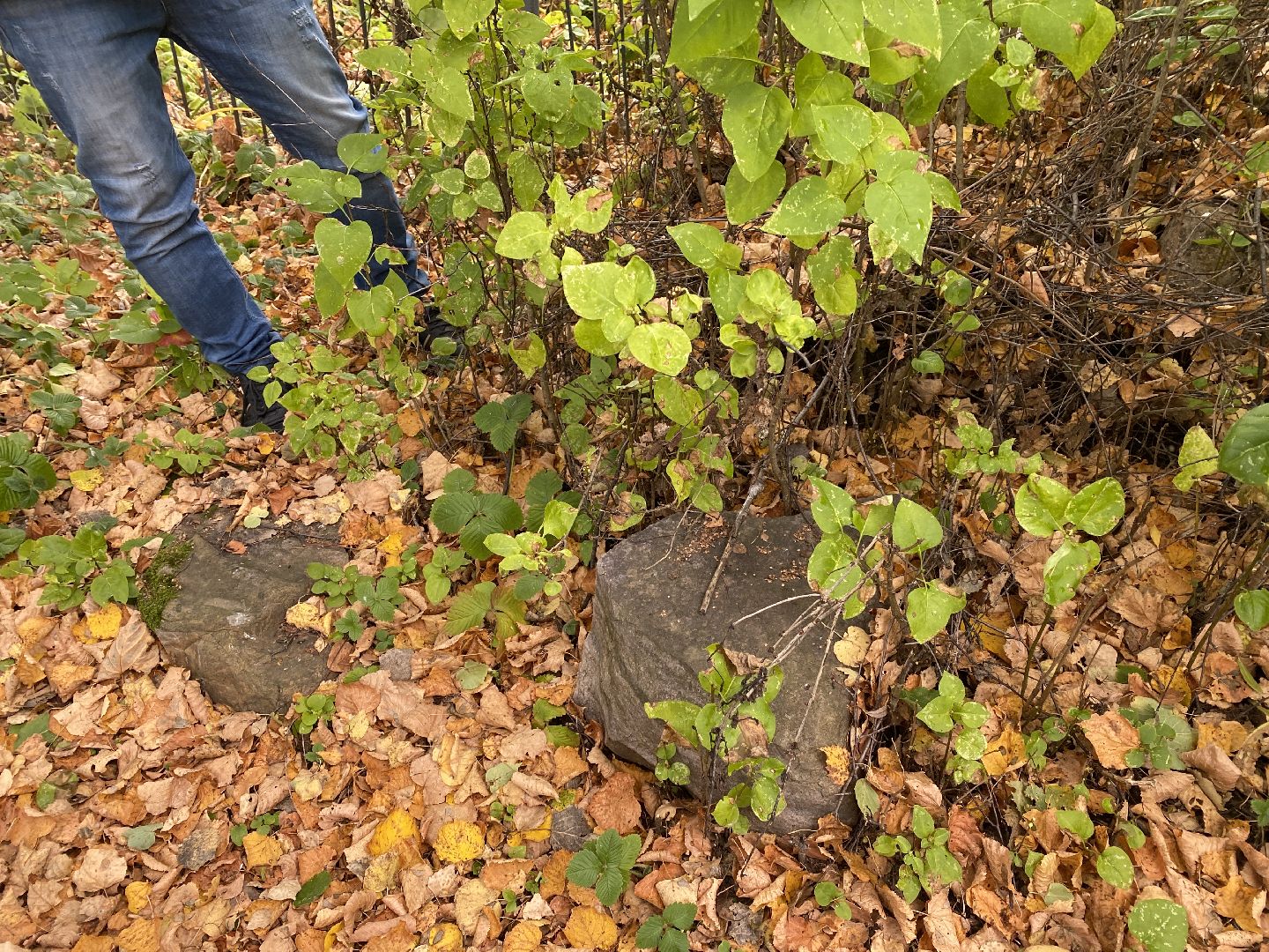 волоколамск, краеведение, краеведы, история, история россии, деревня, кладбище, жители, легенды, миф,