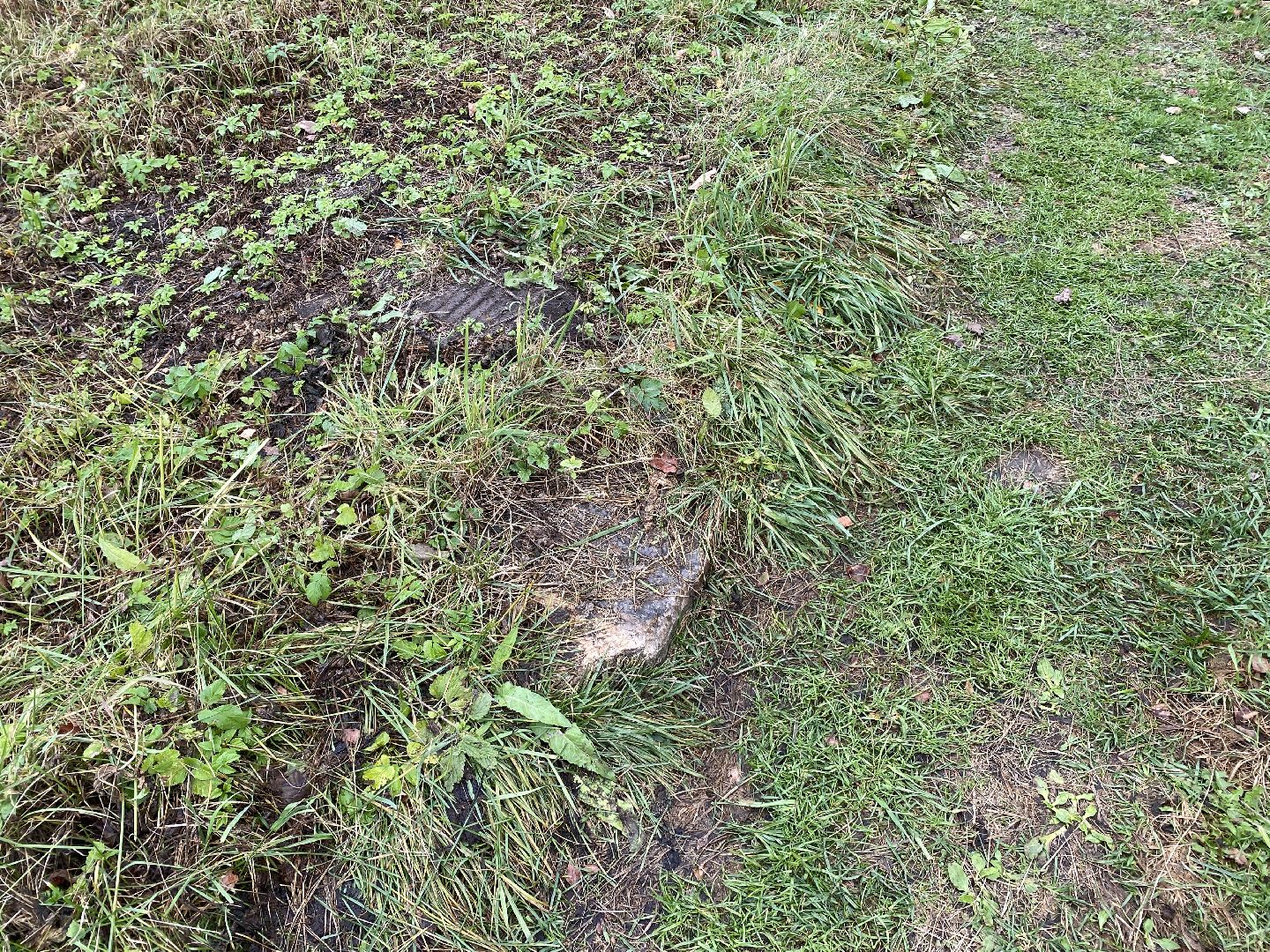 волоколамск, краеведение, краеведы, история, история россии, деревня, кладбище, жители, легенды, миф,