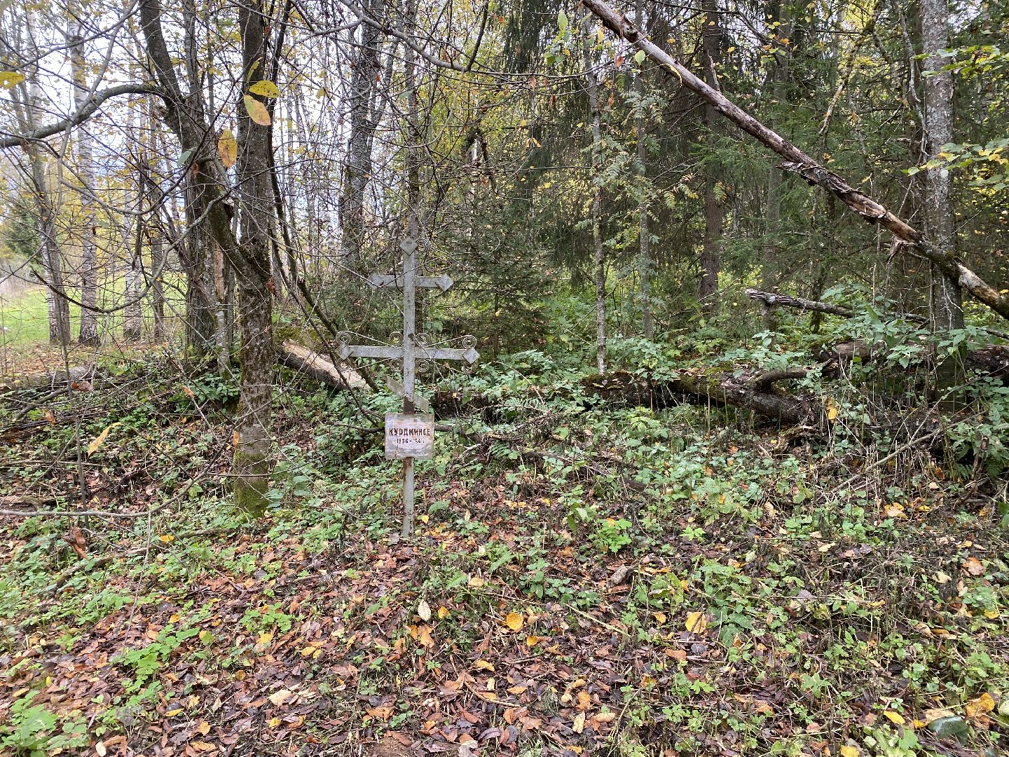 волоколамск, краеведение, краеведы, история, история россии, деревня, кладбище, жители, легенды, миф,