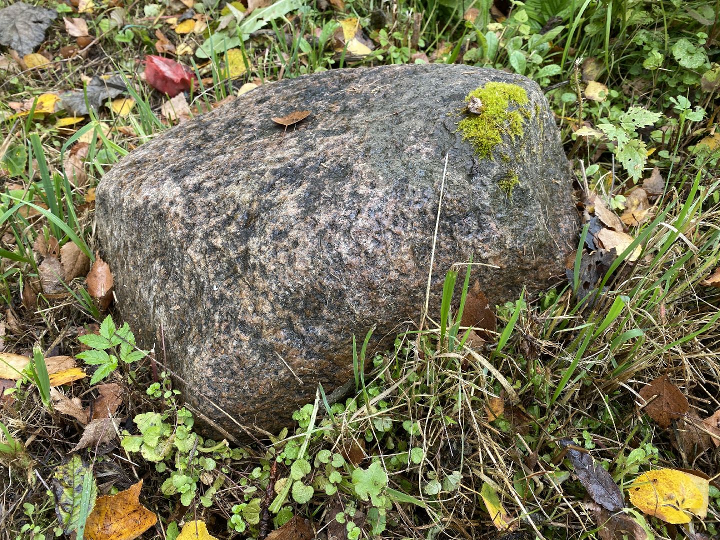 волоколамск, краеведение, краеведы, история, история россии, деревня, кладбище, жители, легенды, миф,