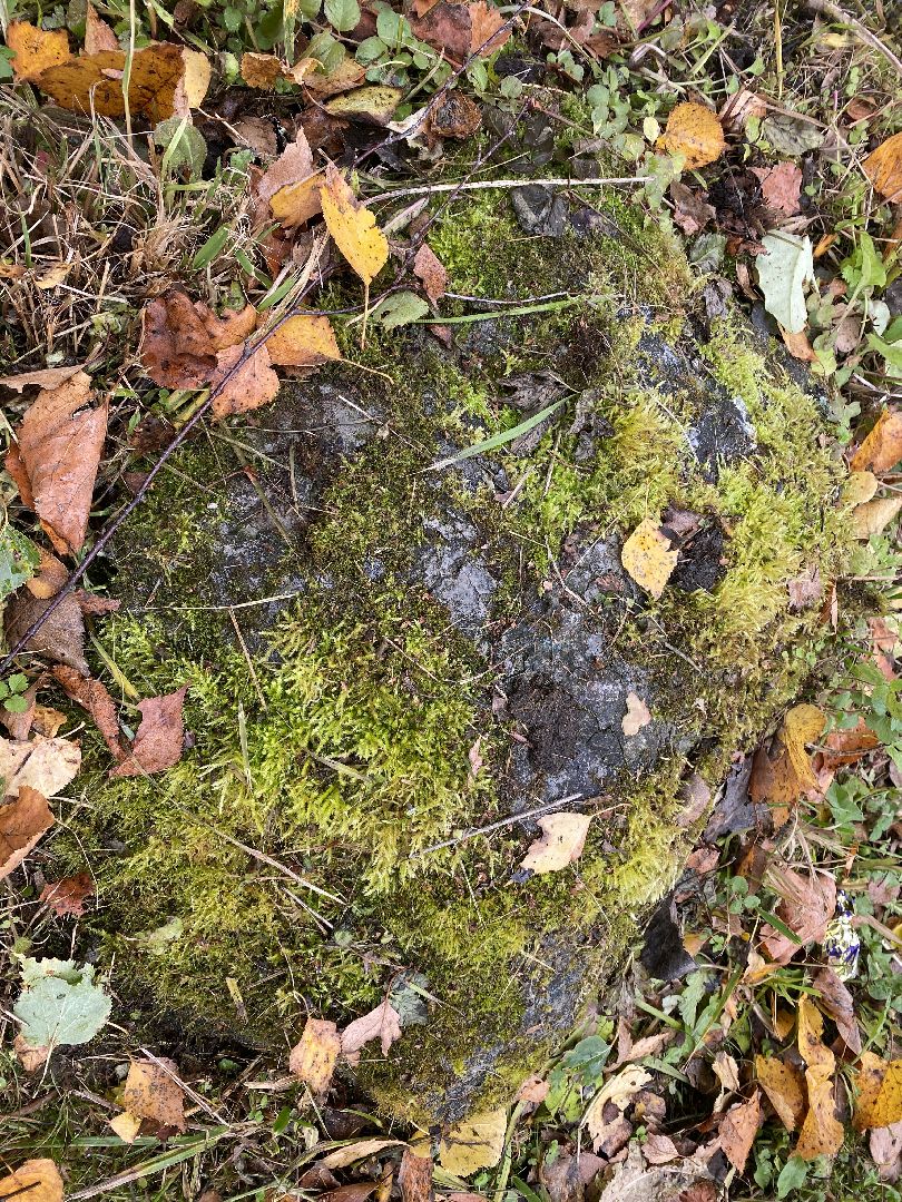 волоколамск, краеведение, краеведы, история, история россии, деревня, кладбище, жители, легенды, миф,