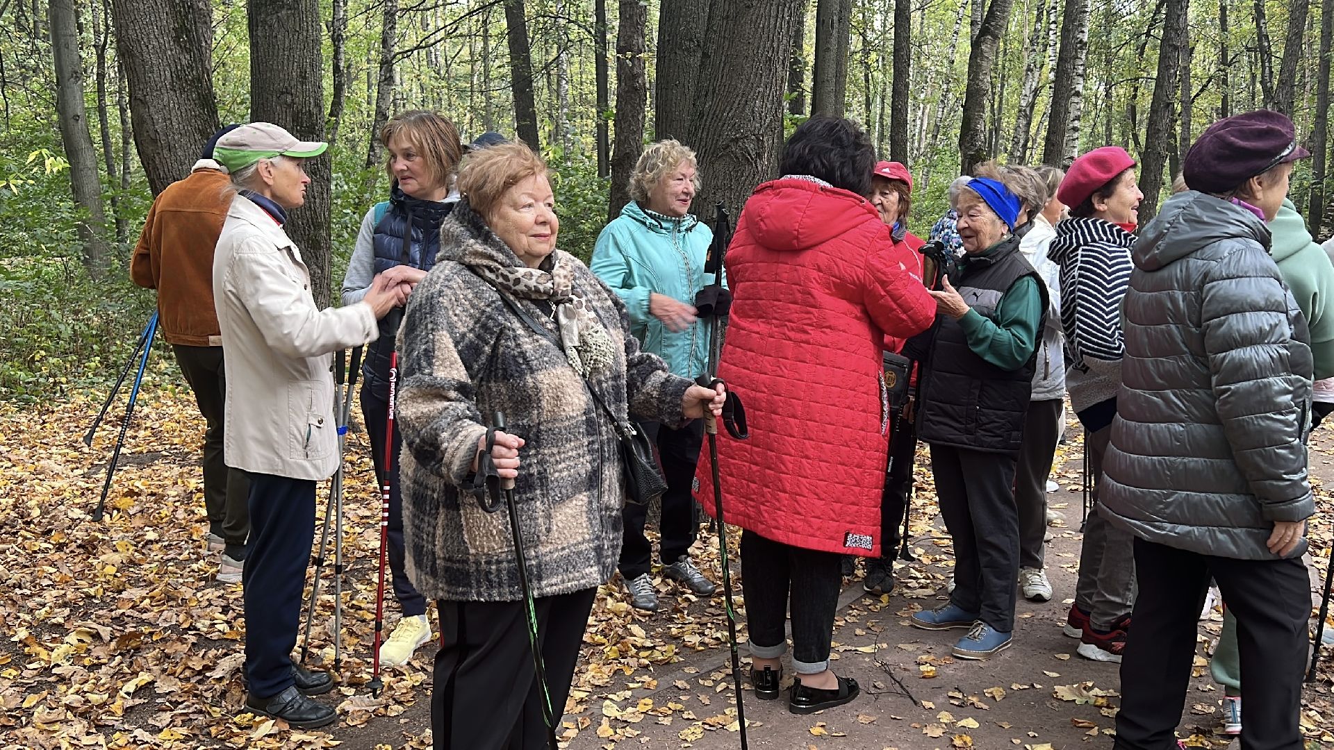 химки, активное долголетие, скандинавская ходьба, пожилые люди,