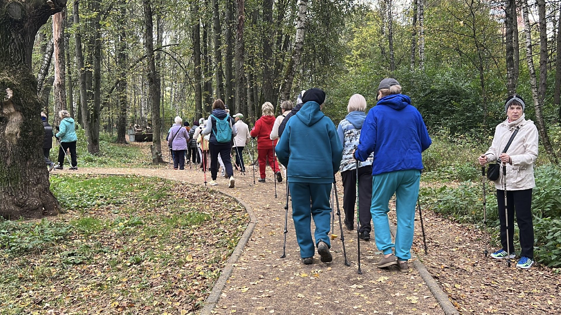 химки, активное долголетие, скандинавская ходьба, пожилые люди,